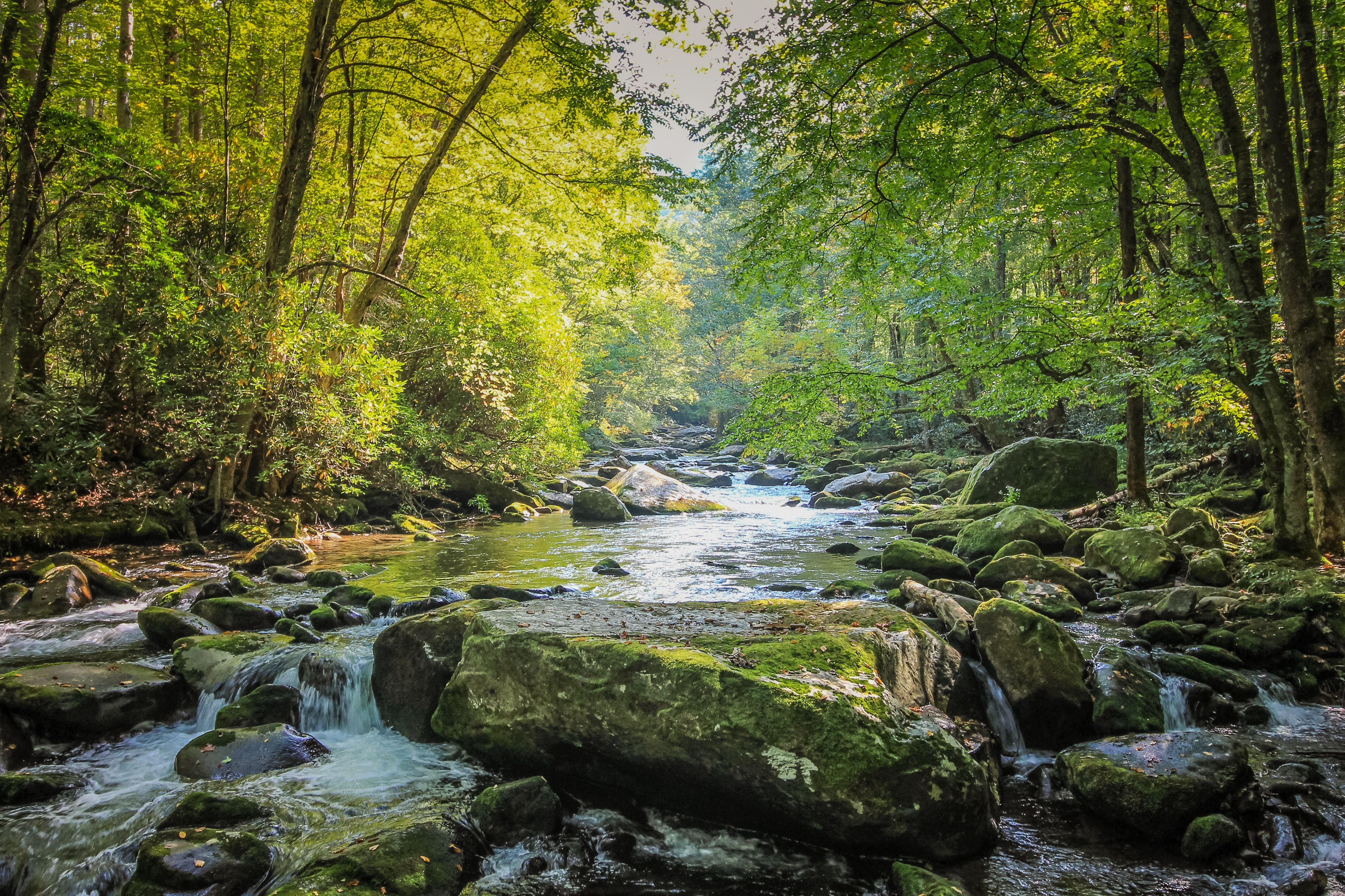 tennessee nature