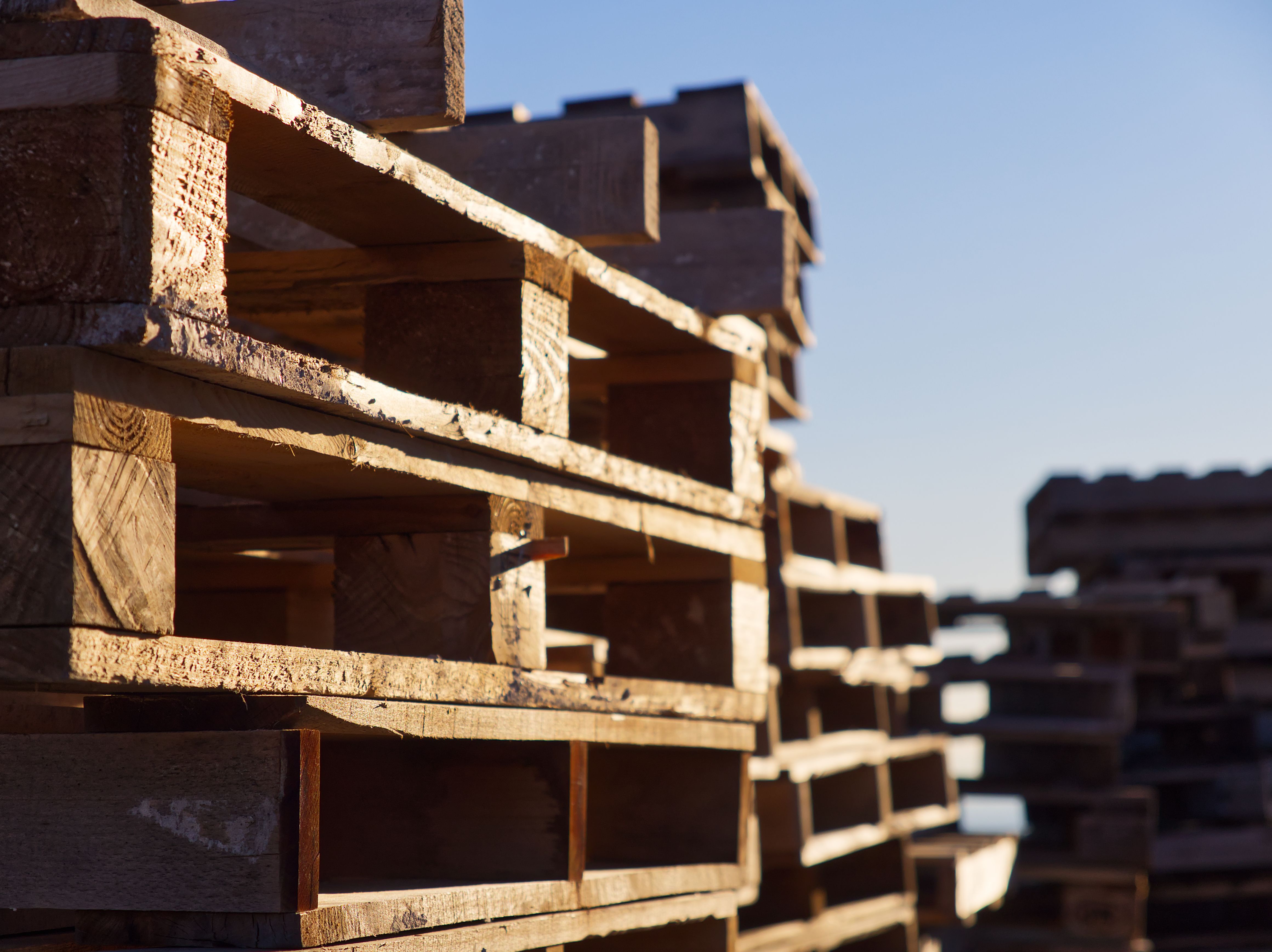 wooden pallet maintenance