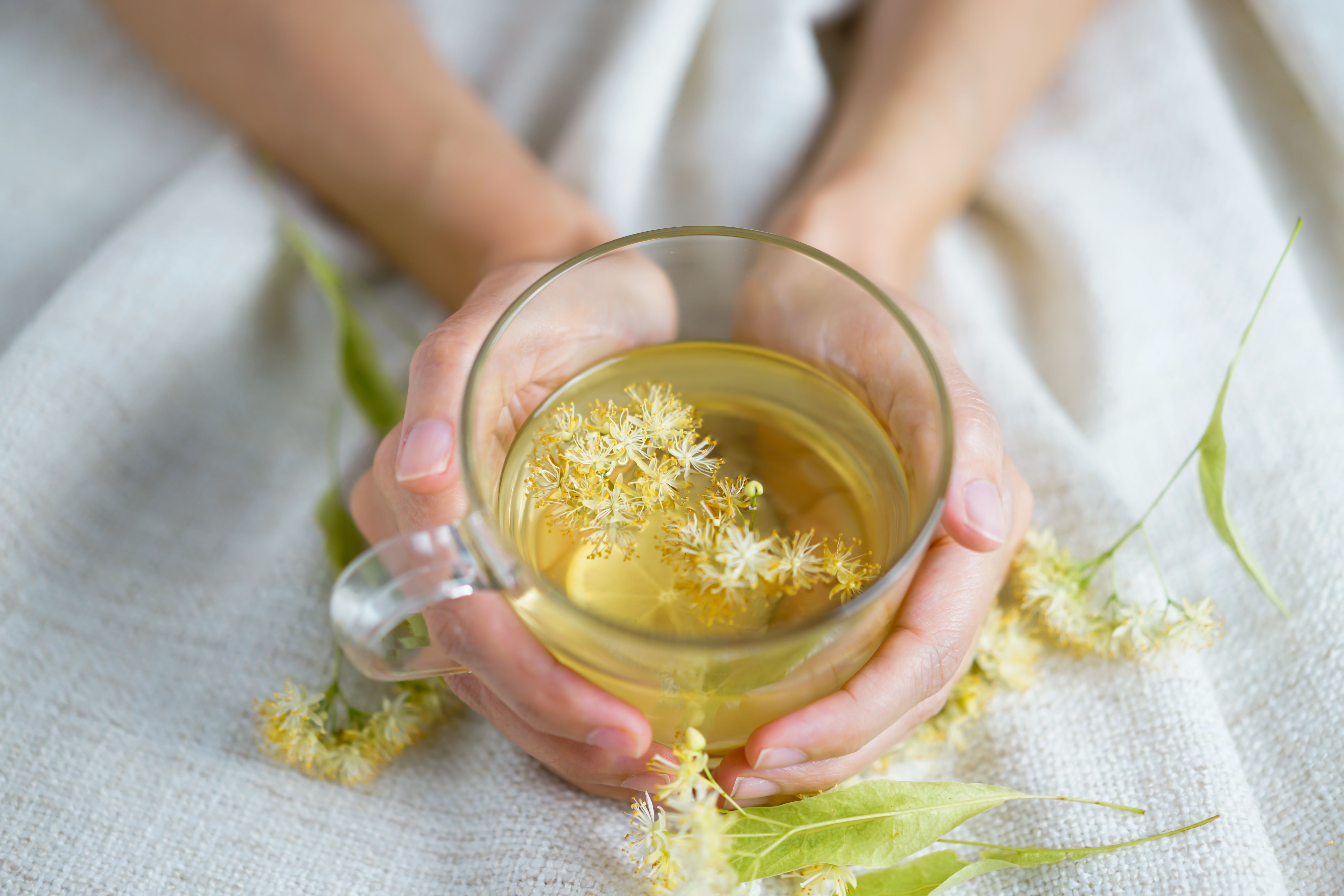 Woman Holding a Cup of Herbal Tea Woman Holding a Cup of Herbal Tea
