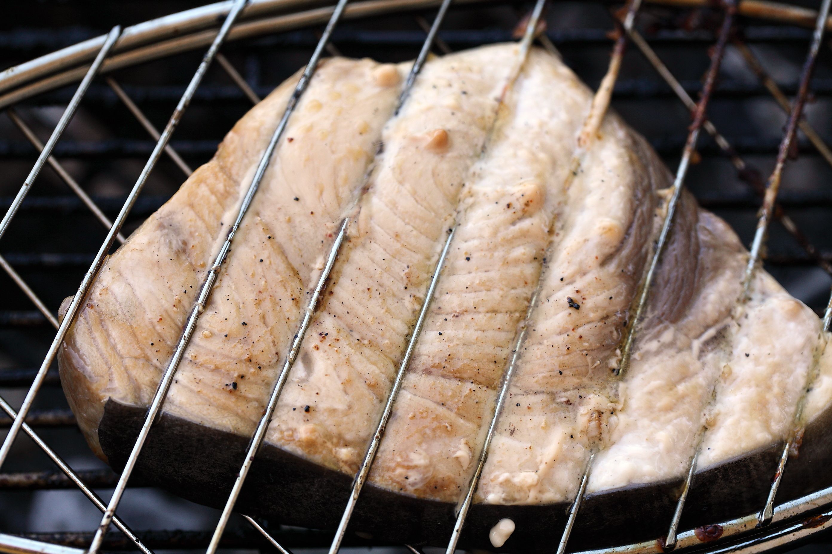 swordfish grill