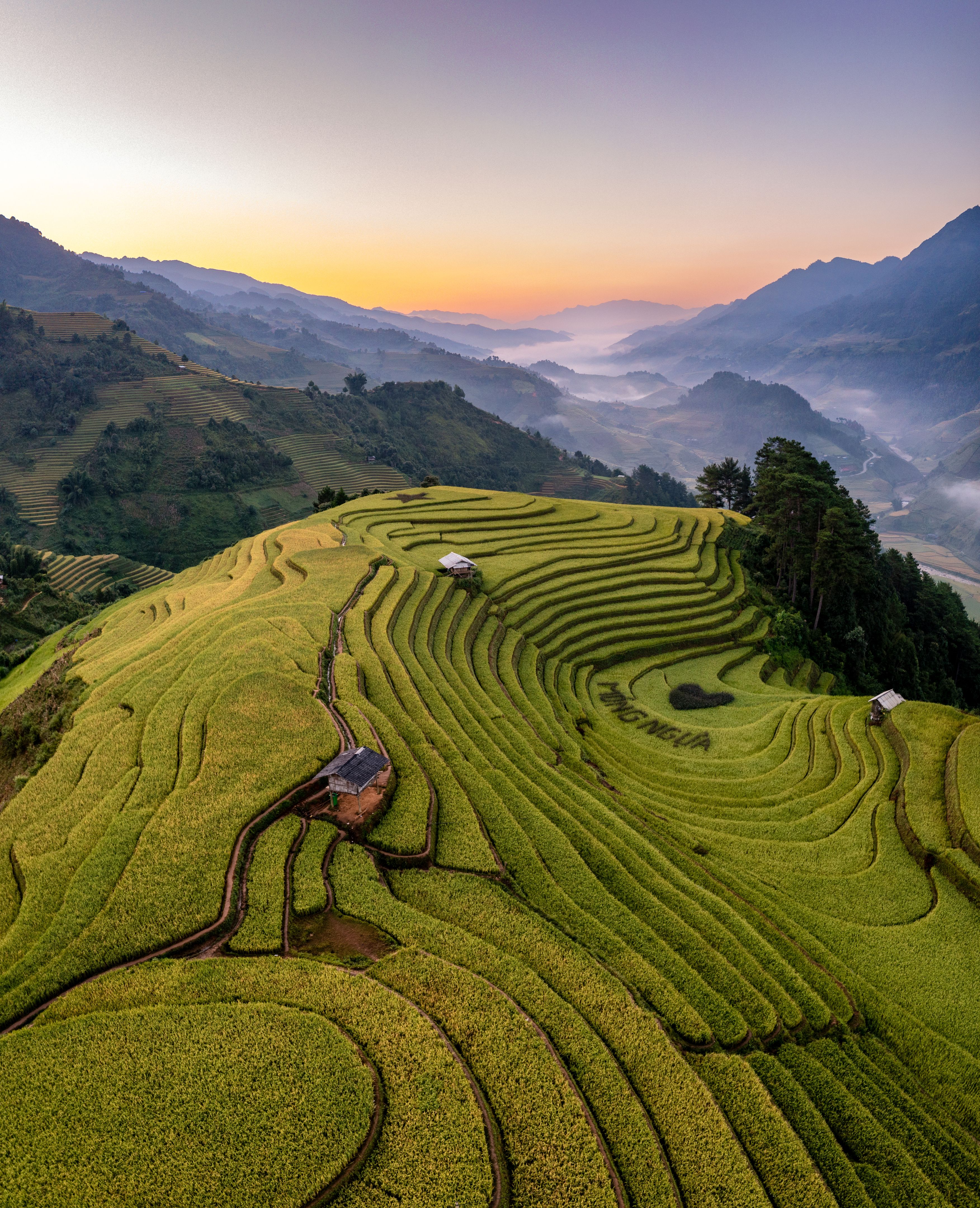 Rice fields on terraced prepare the harvest at Northwest Vietnam.