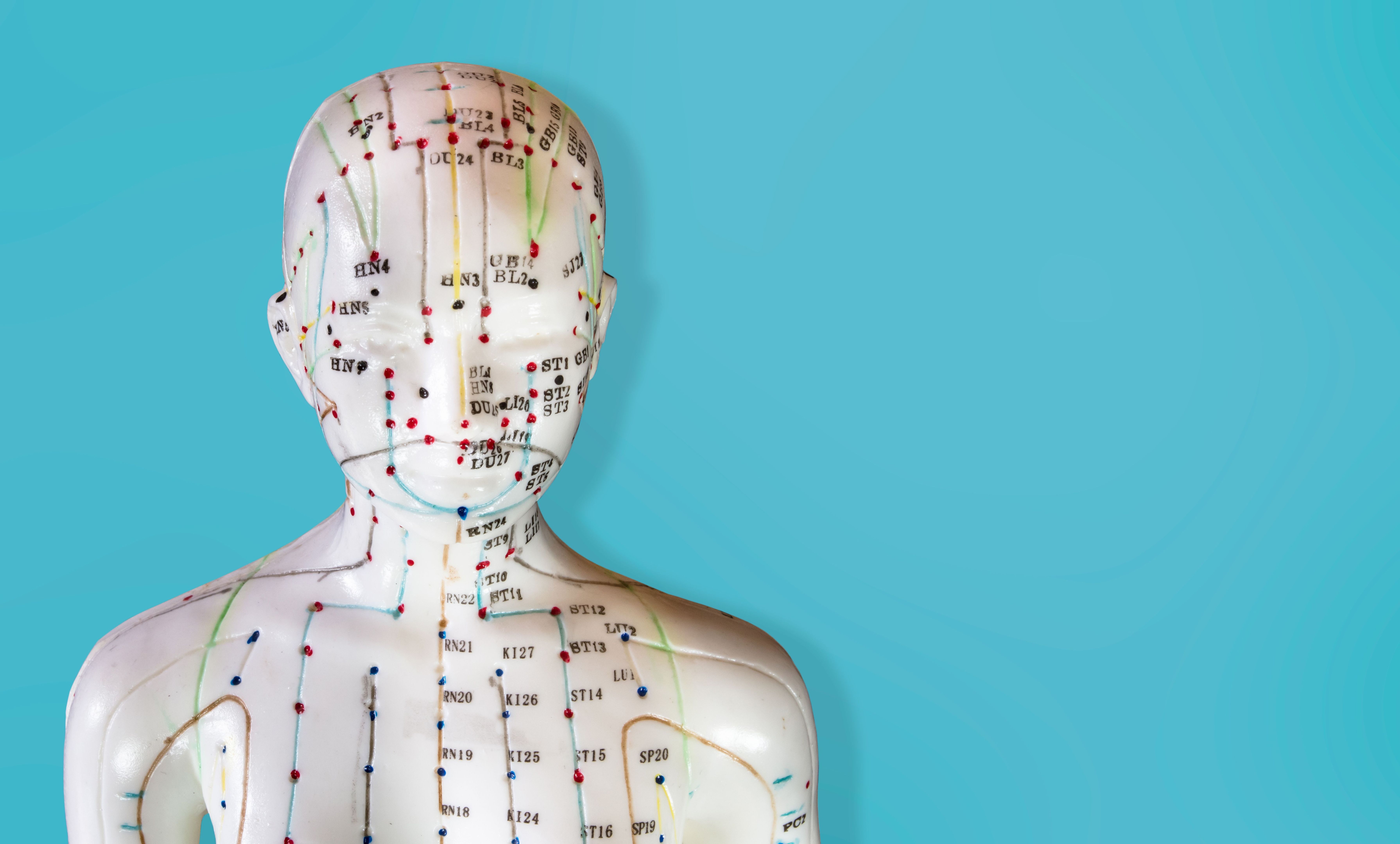 Of a mannequin with meridians and acupuncture points on blue background.