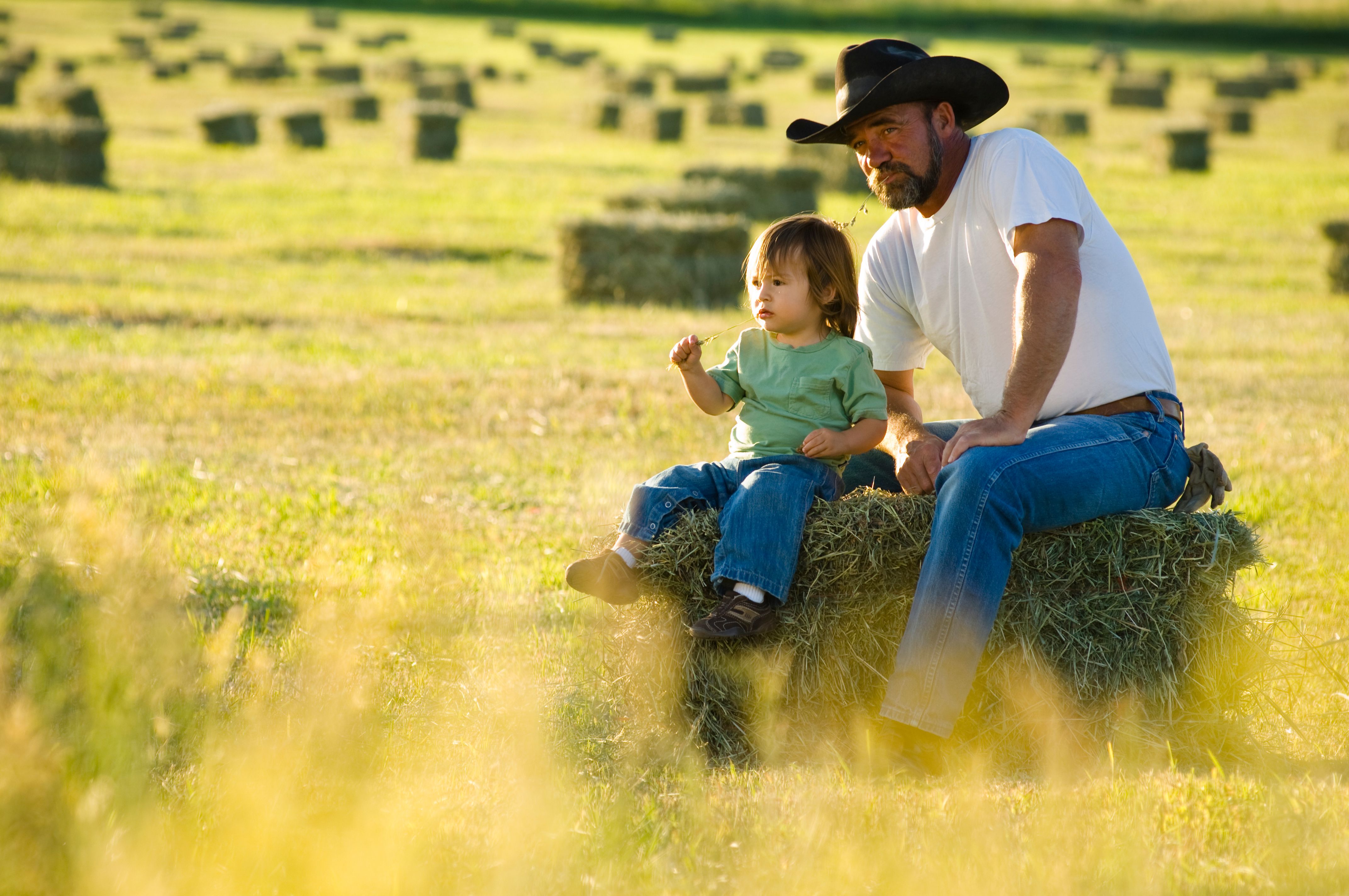 Organic American Hay Farmers Farming Natural Feed for Livestock