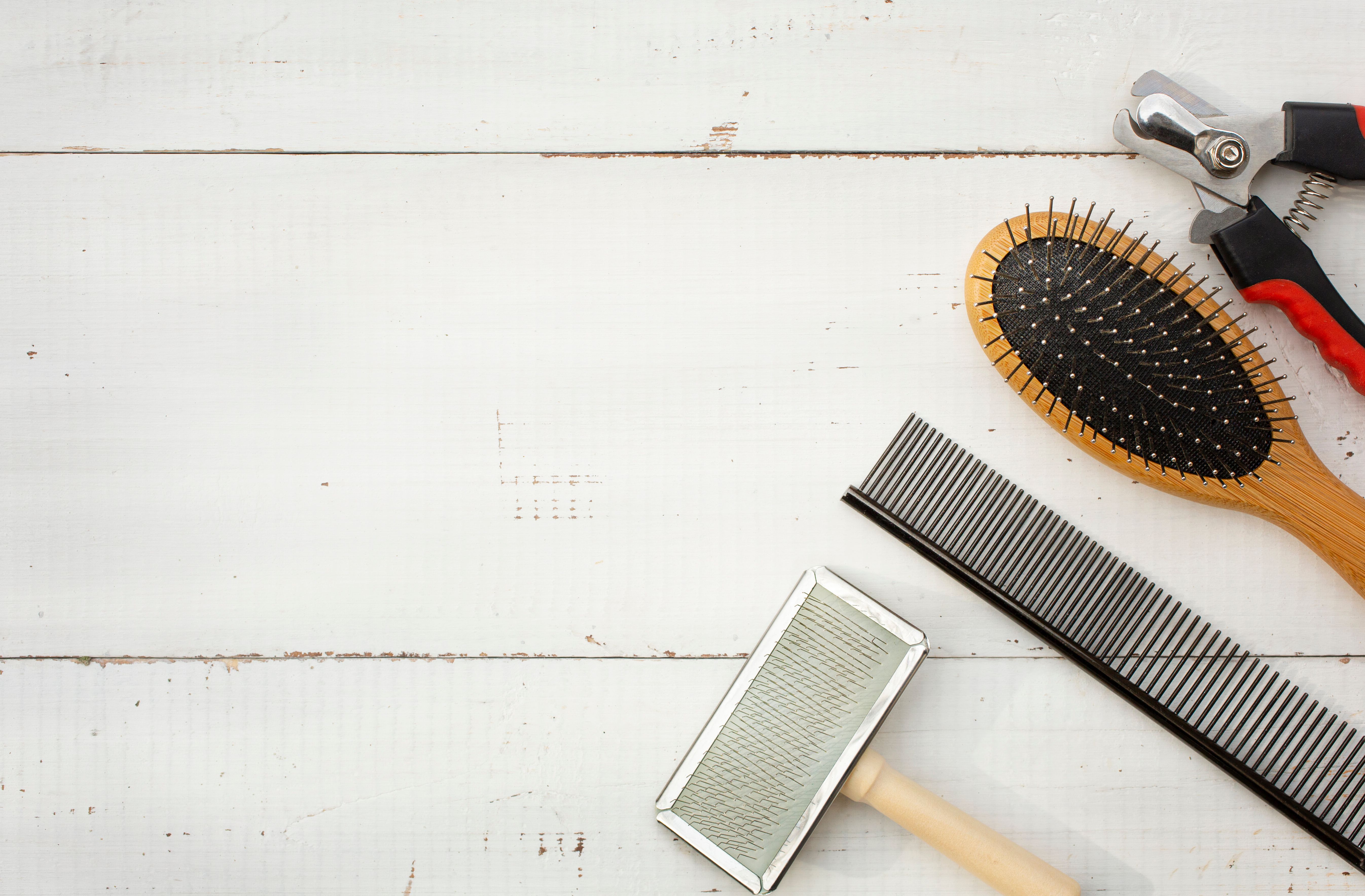 clean grooming tools