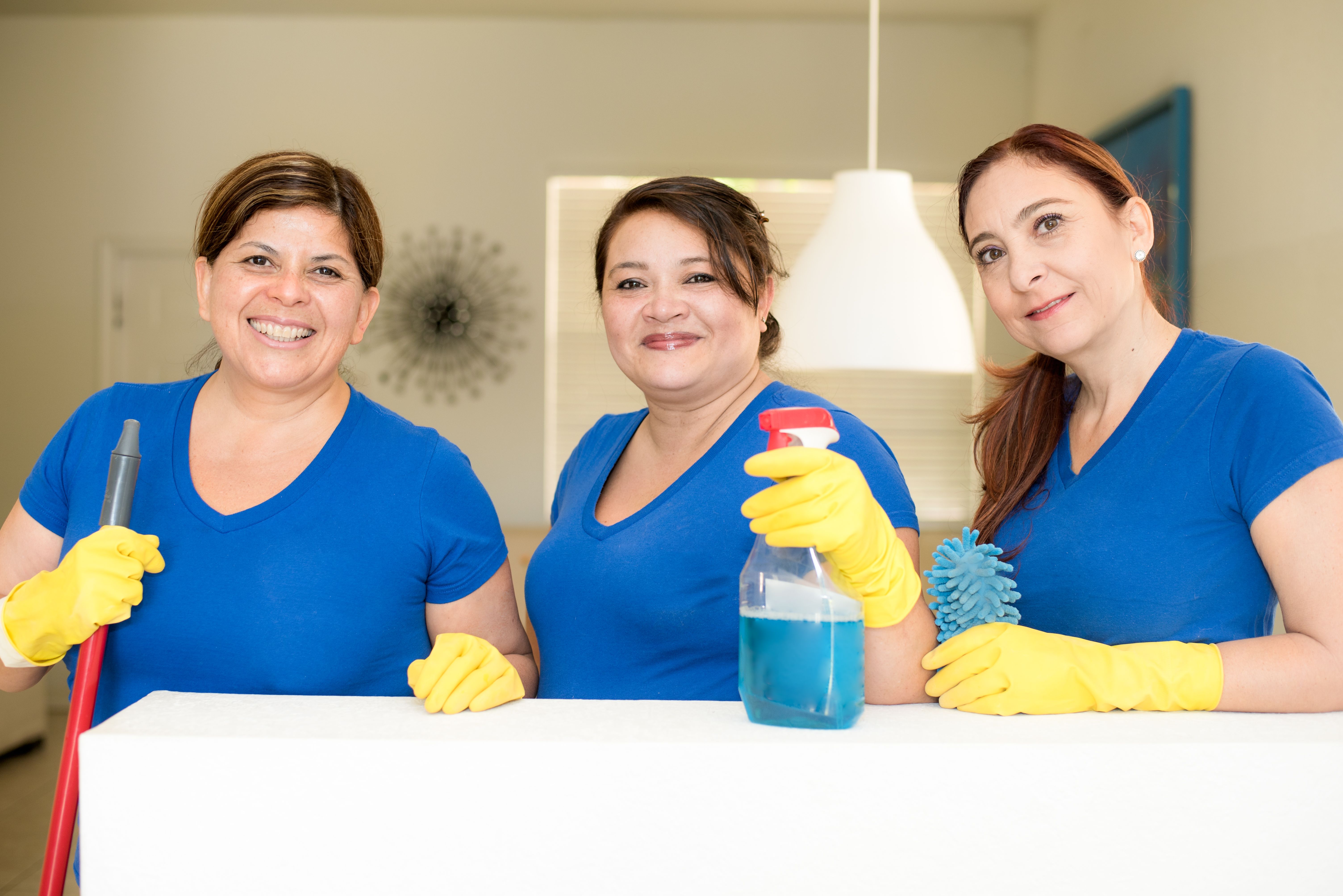 Hudson Pro Clean cleaning professionals at work