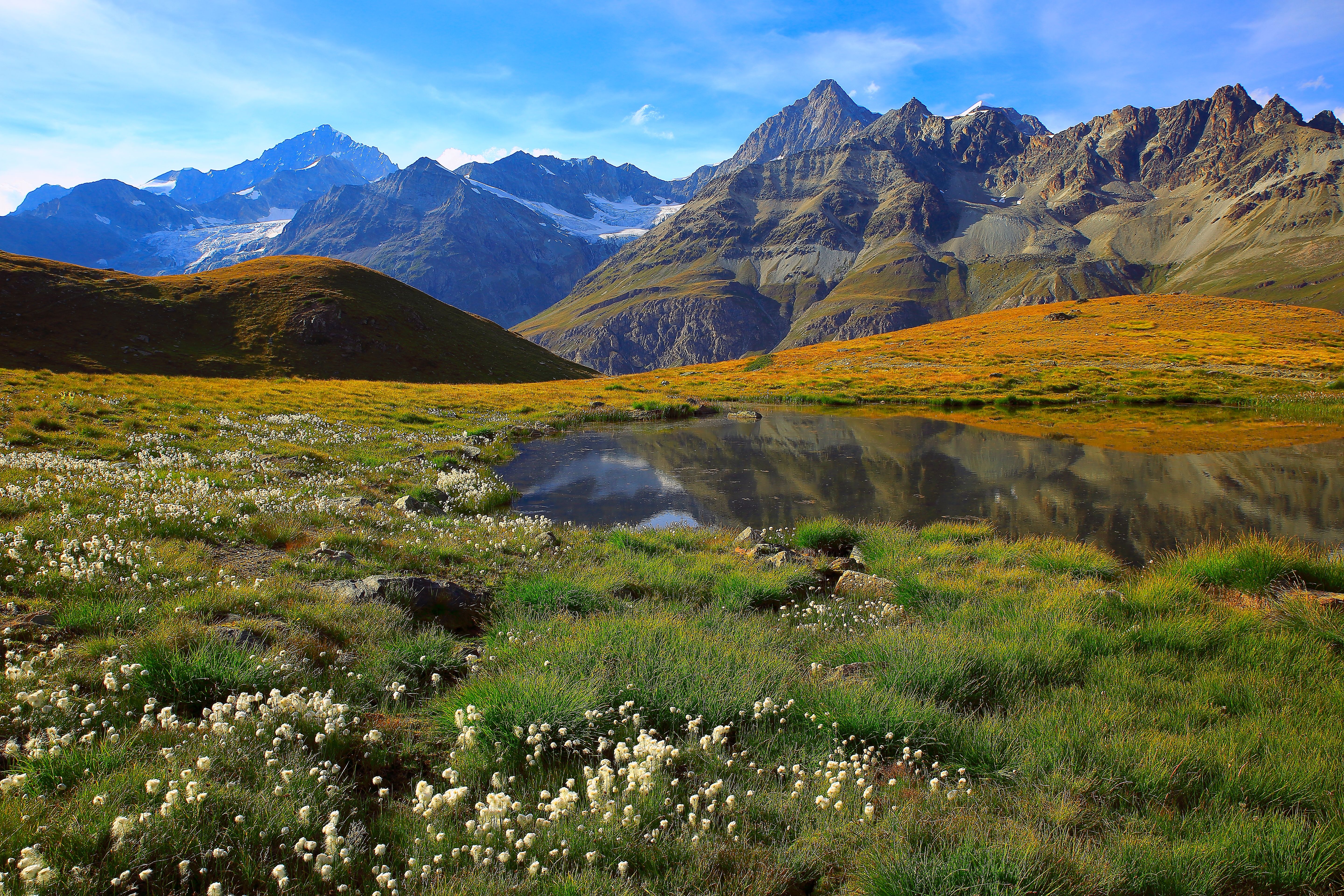 alpine landscape