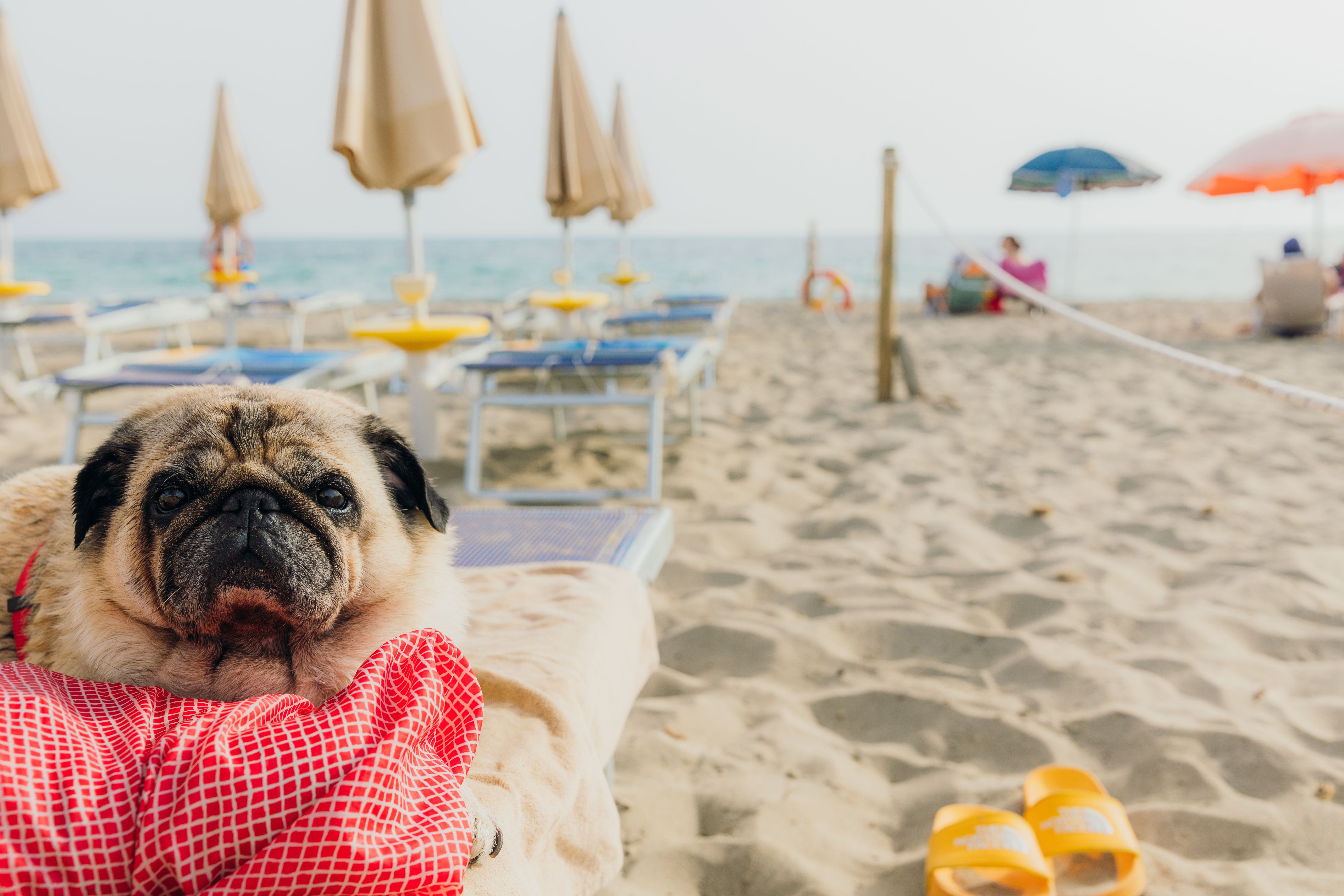 Relaxing During My Best Summer Beach Holiday