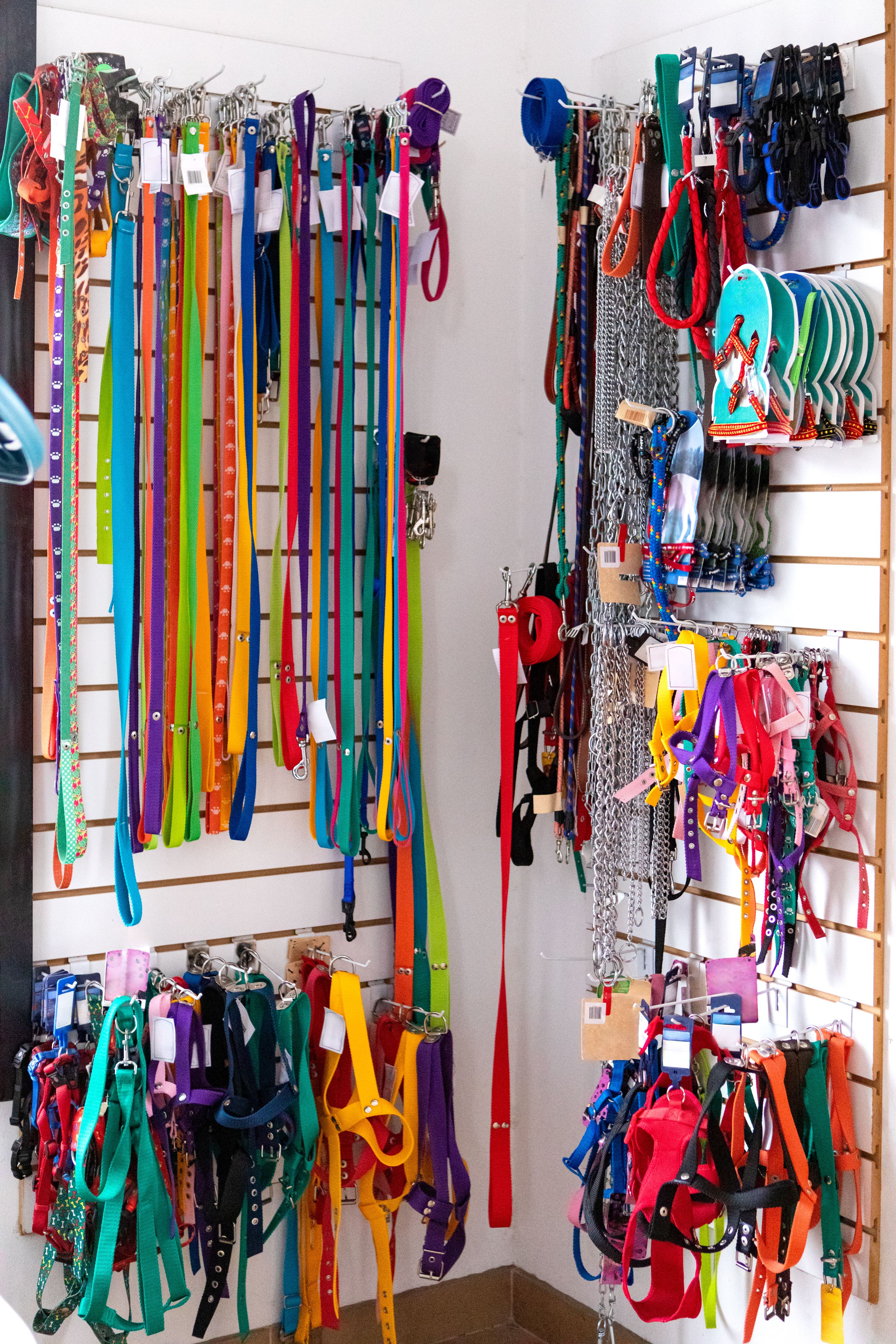 dog leash market