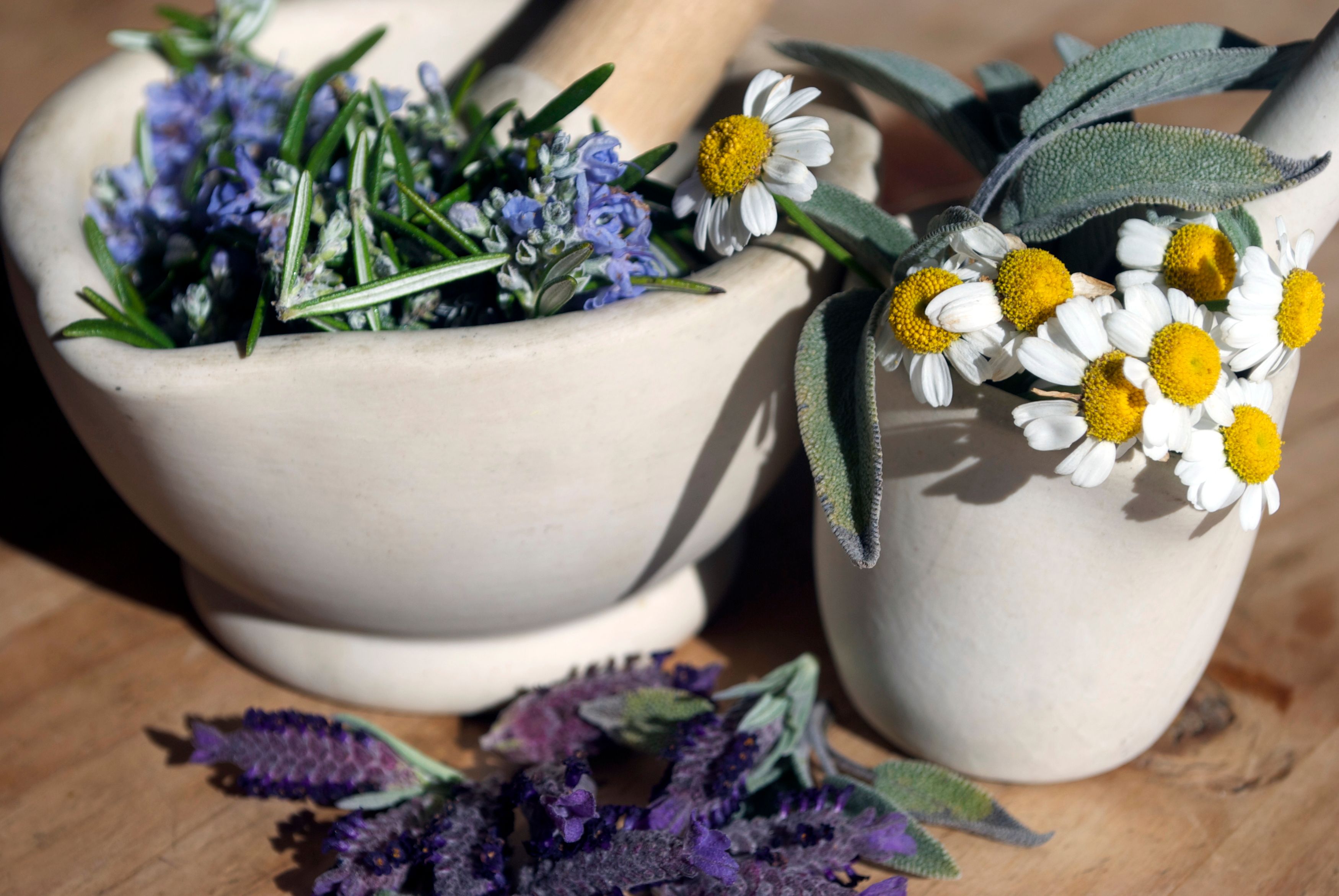 Frischen natürlichen Hintergrund Frischen natürlichen Hintergrund