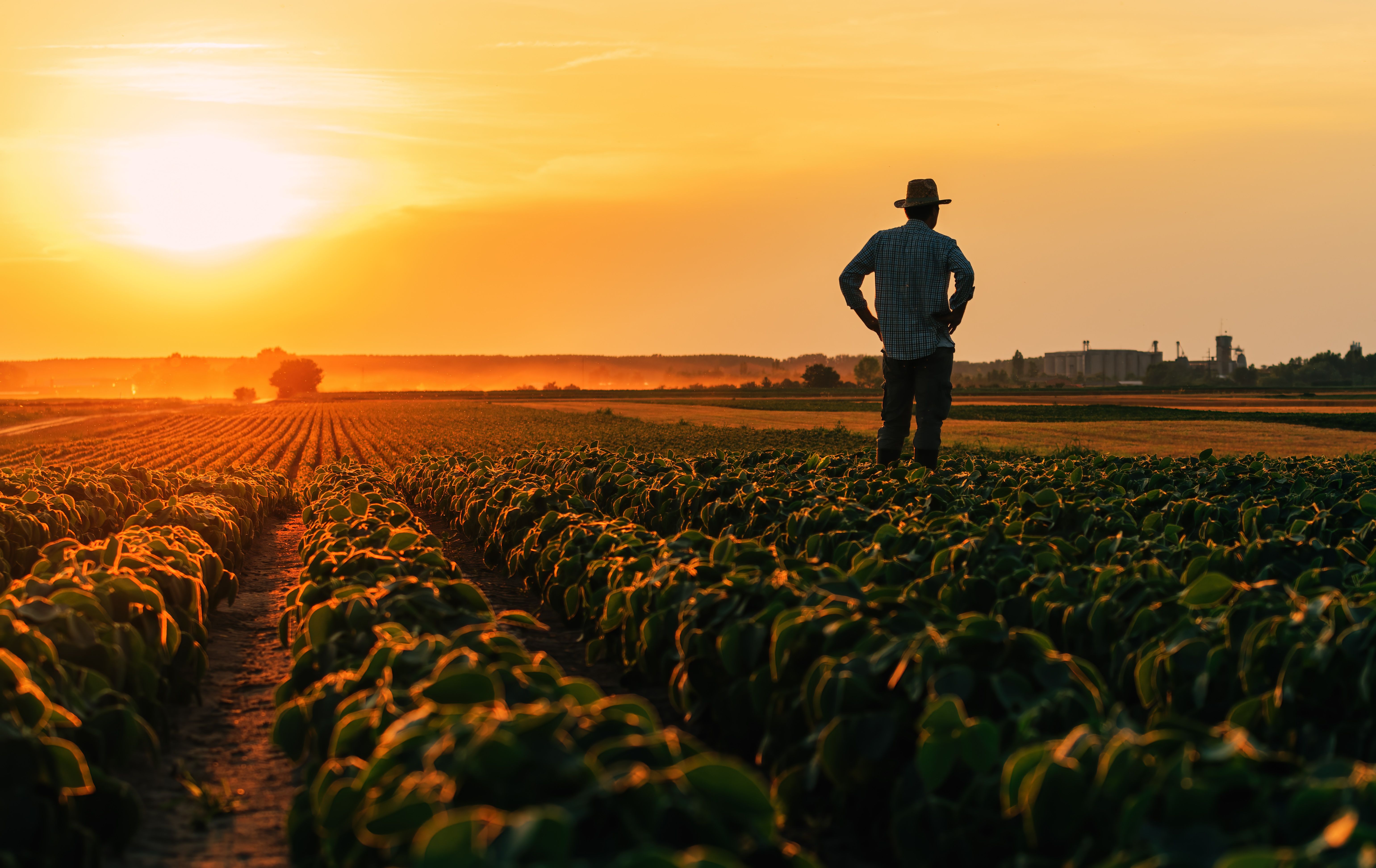 eastern europe organic farming