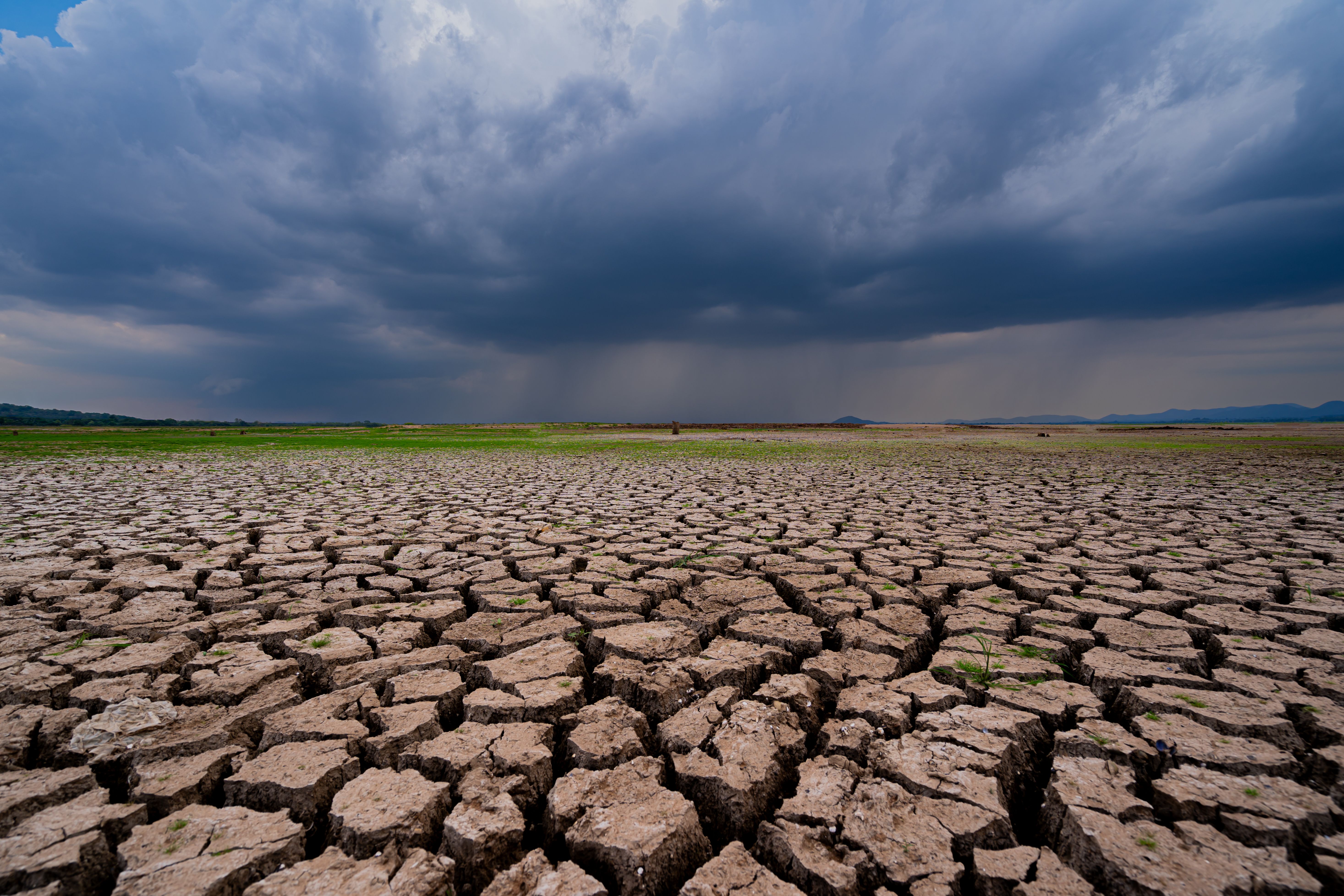 resilient landscaping