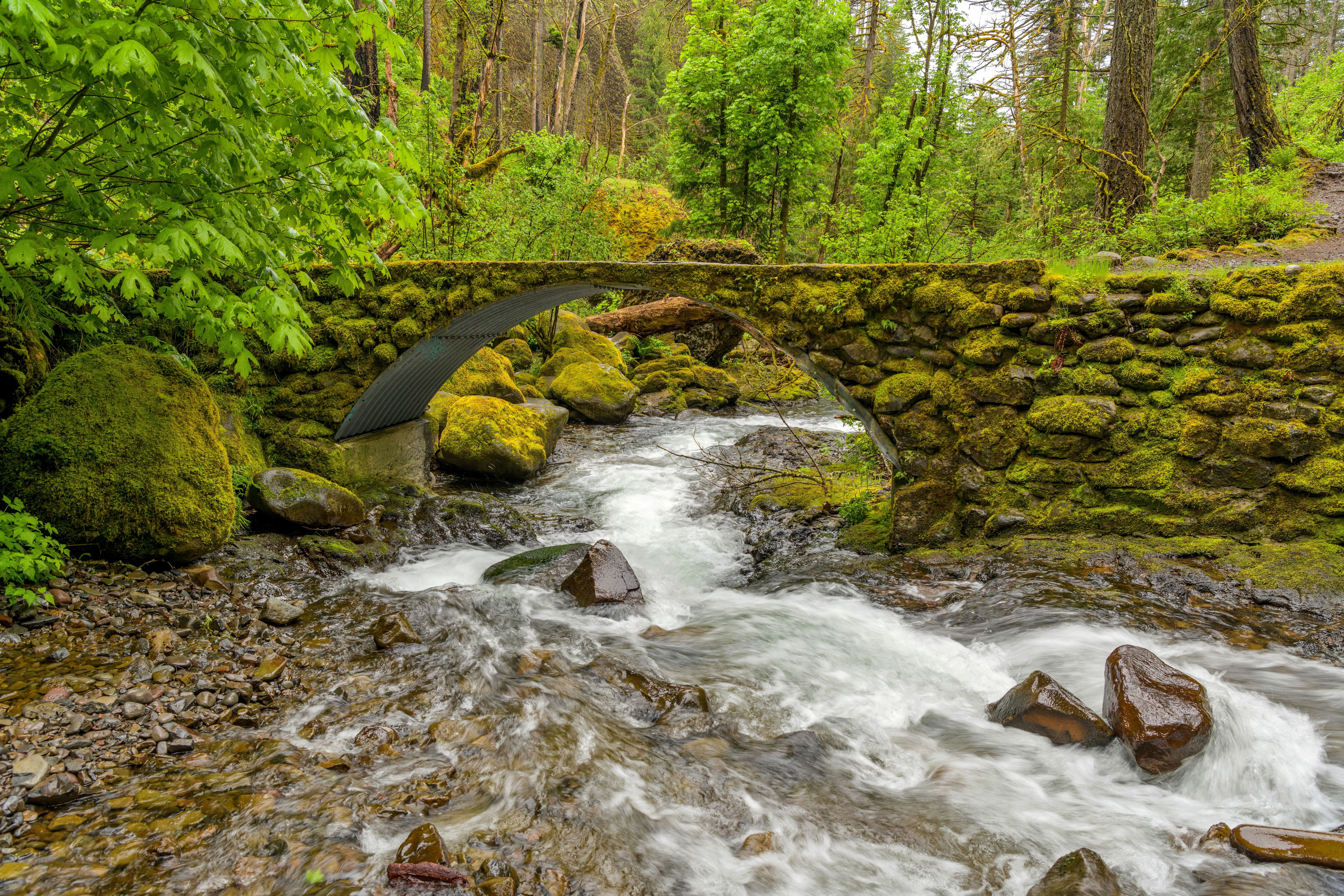 rainy weather Multnomah