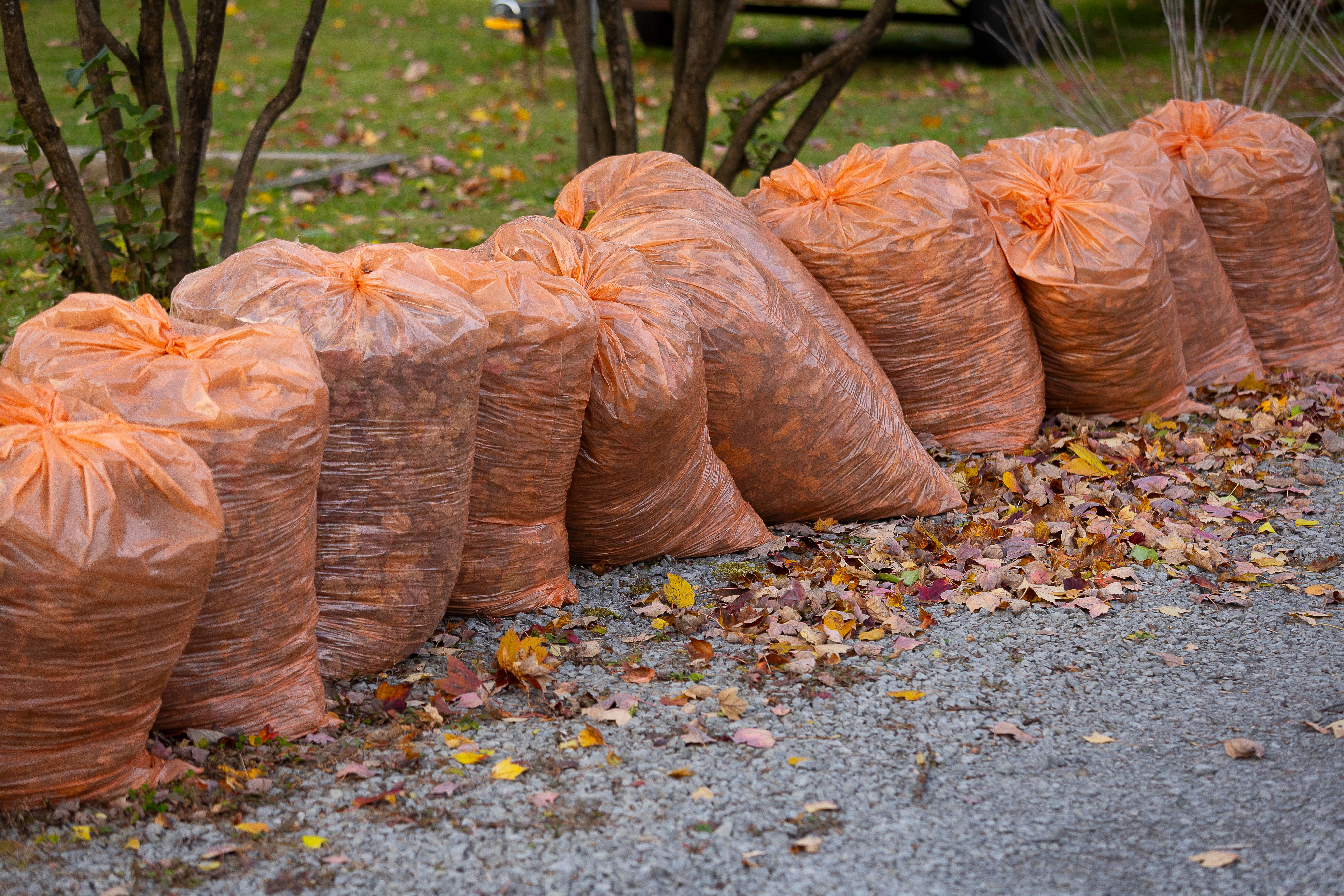 autumn waste management