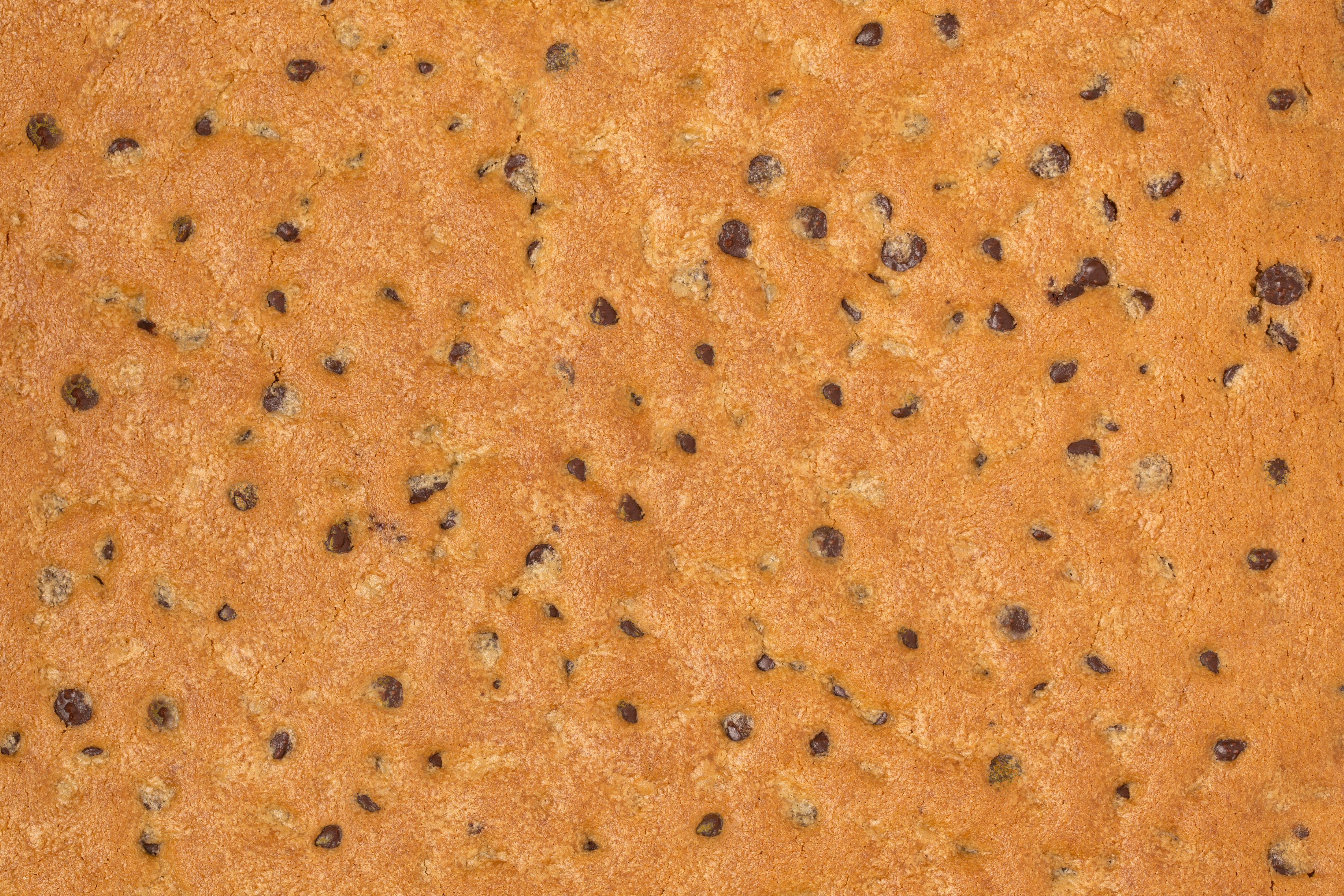 cookie texture