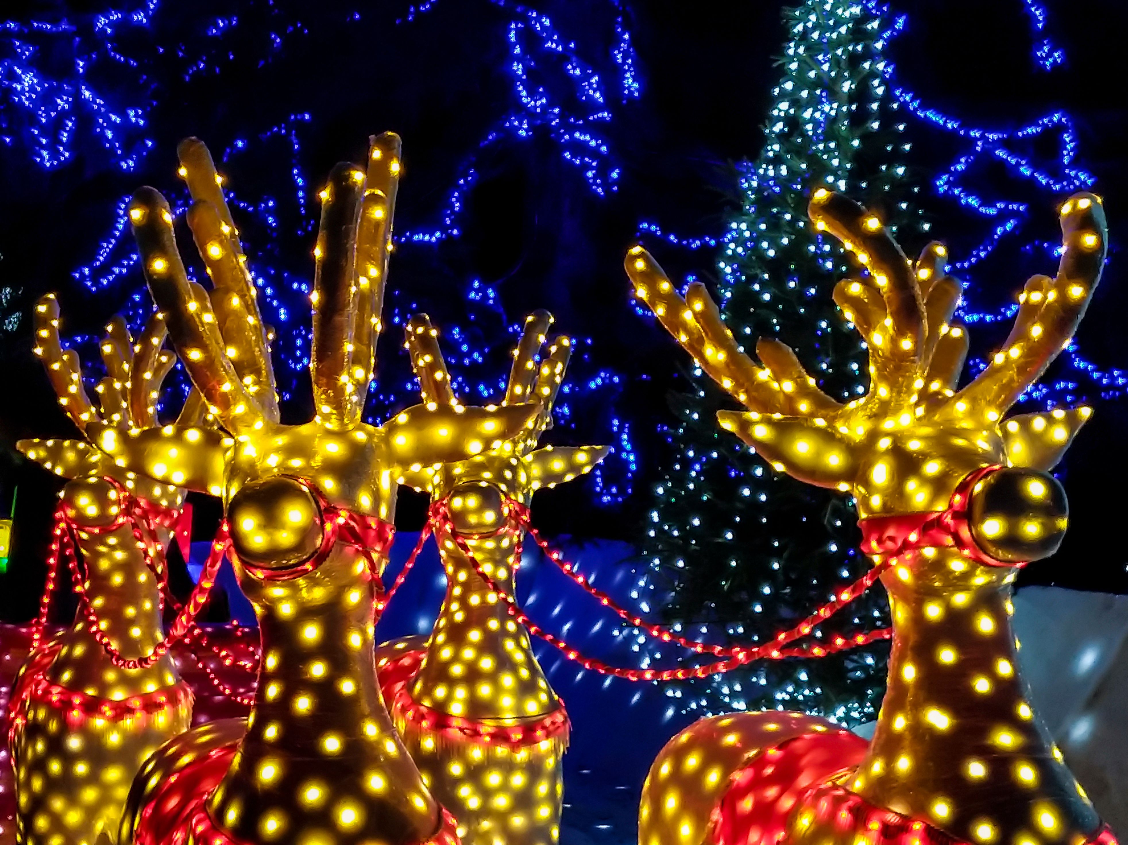 display lighting