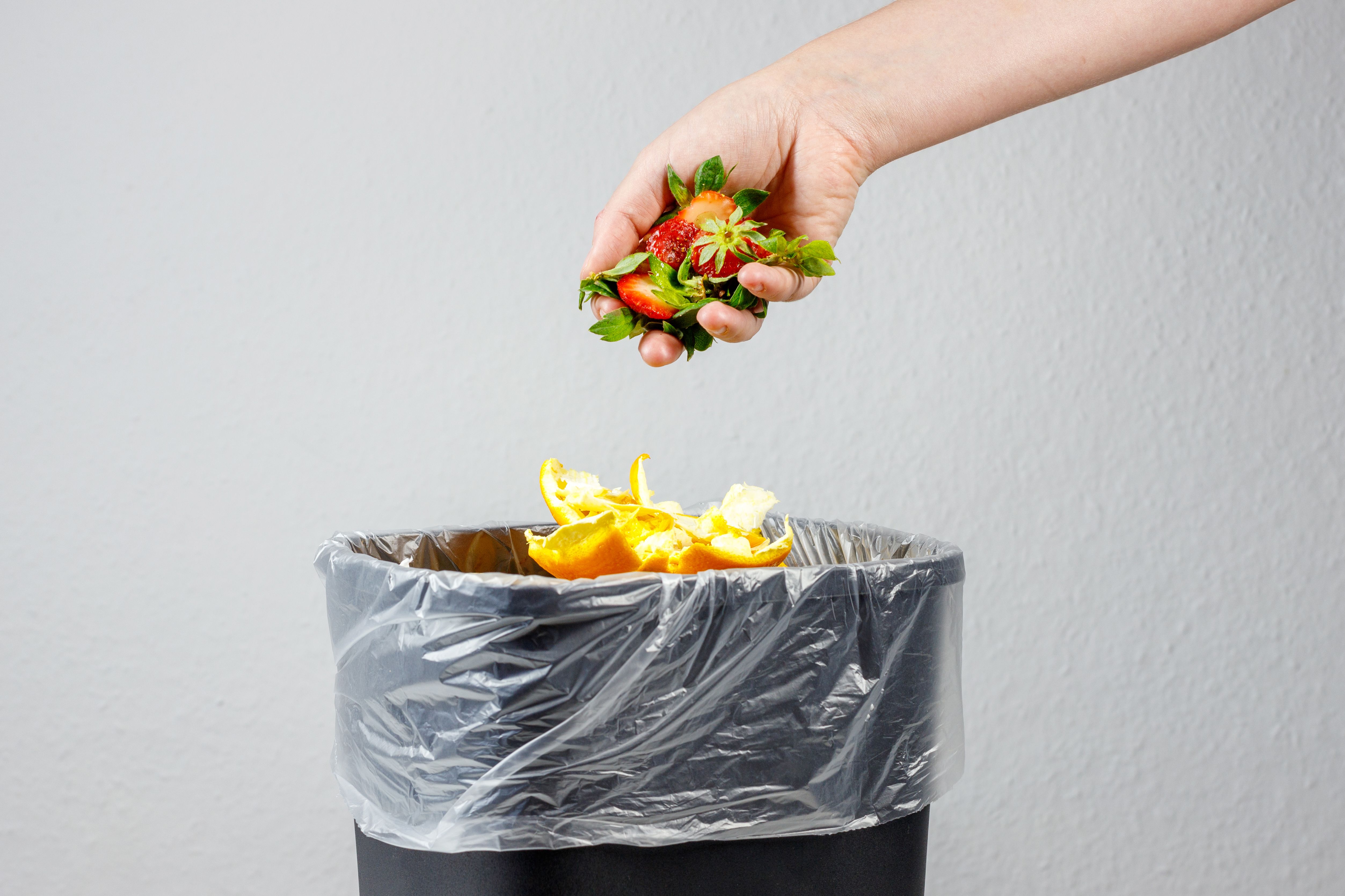 eco friendly disposal