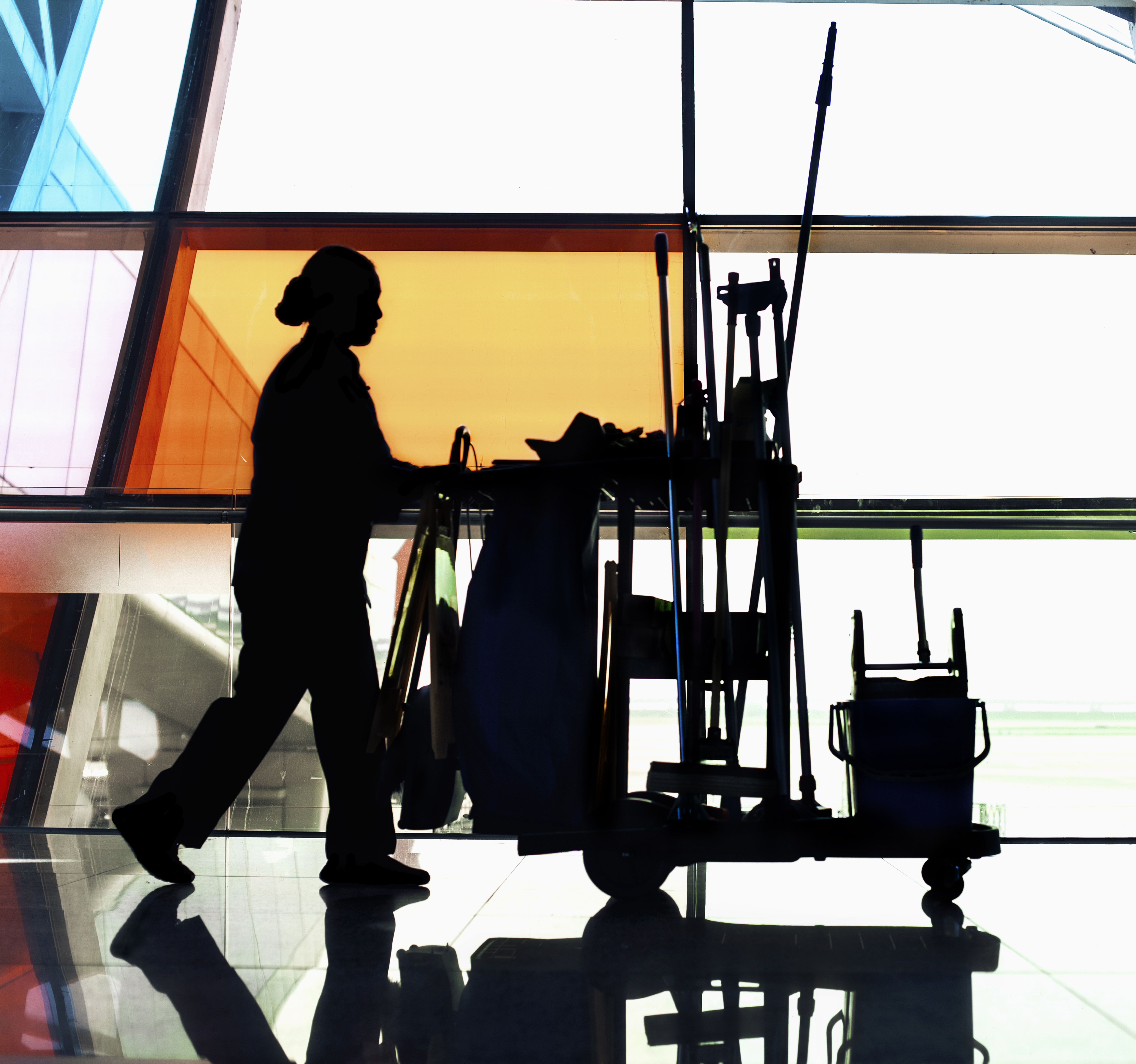 professional cleaning