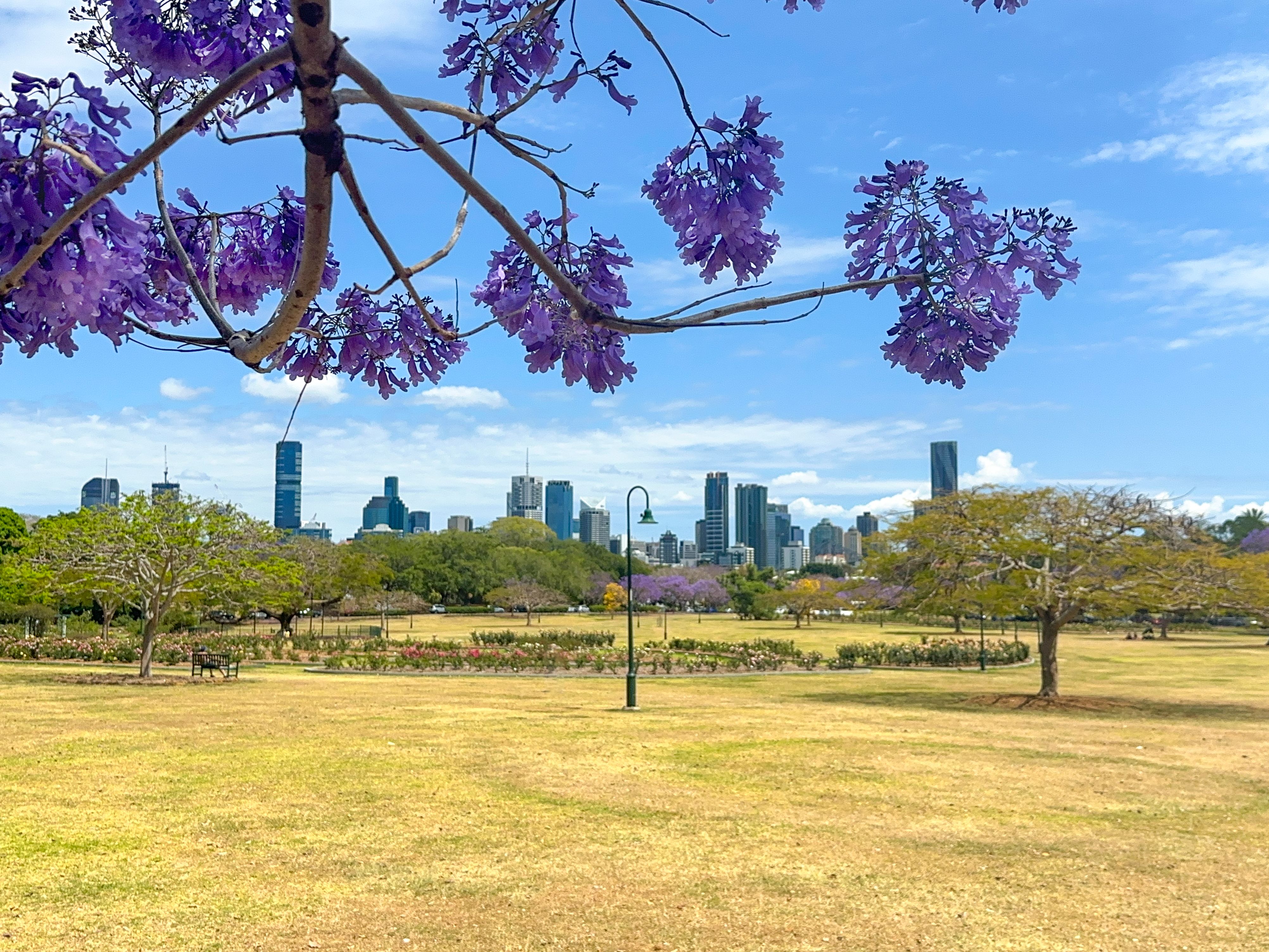 Brisbane suburb park