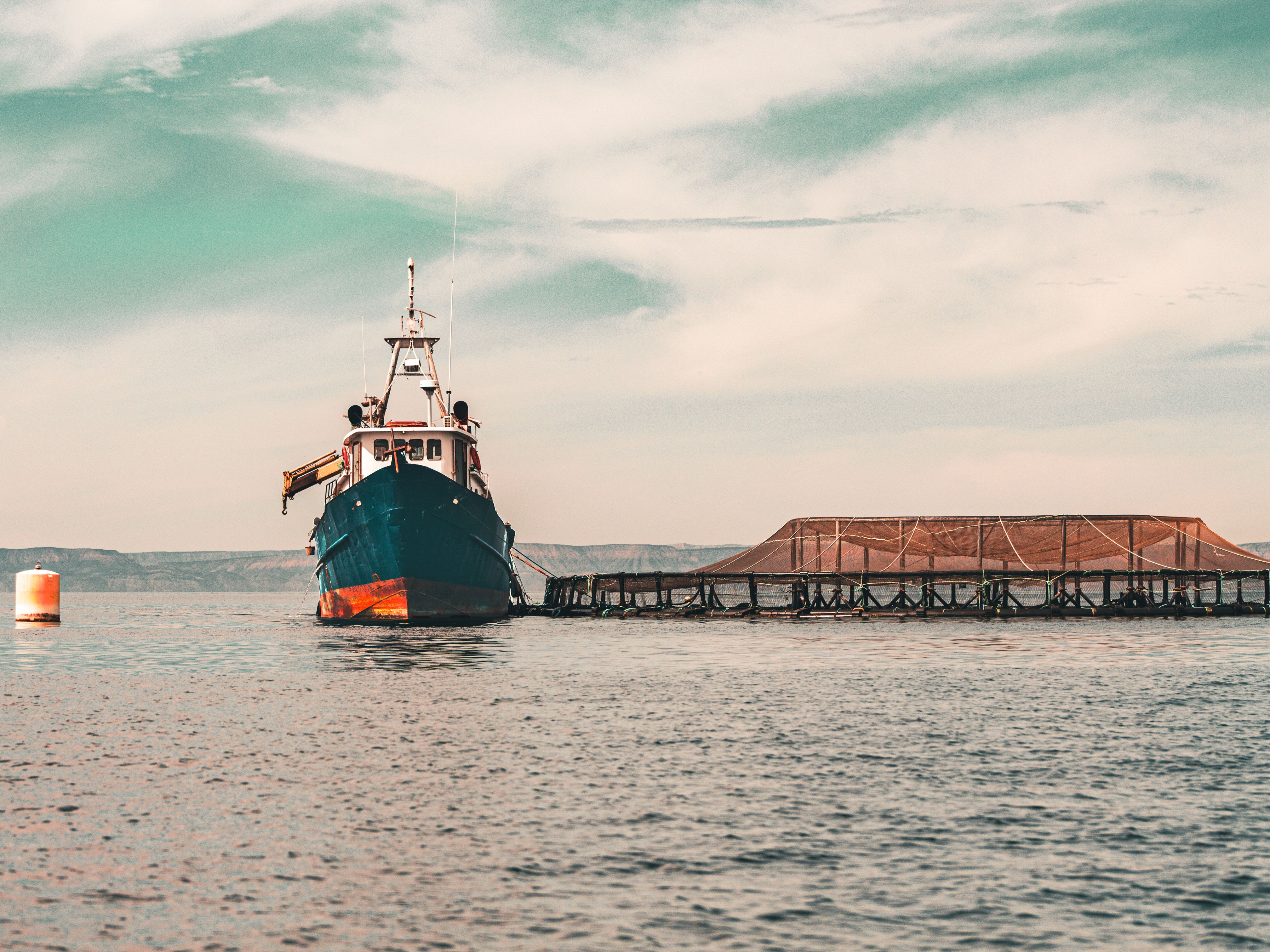 wildlife safety equipment