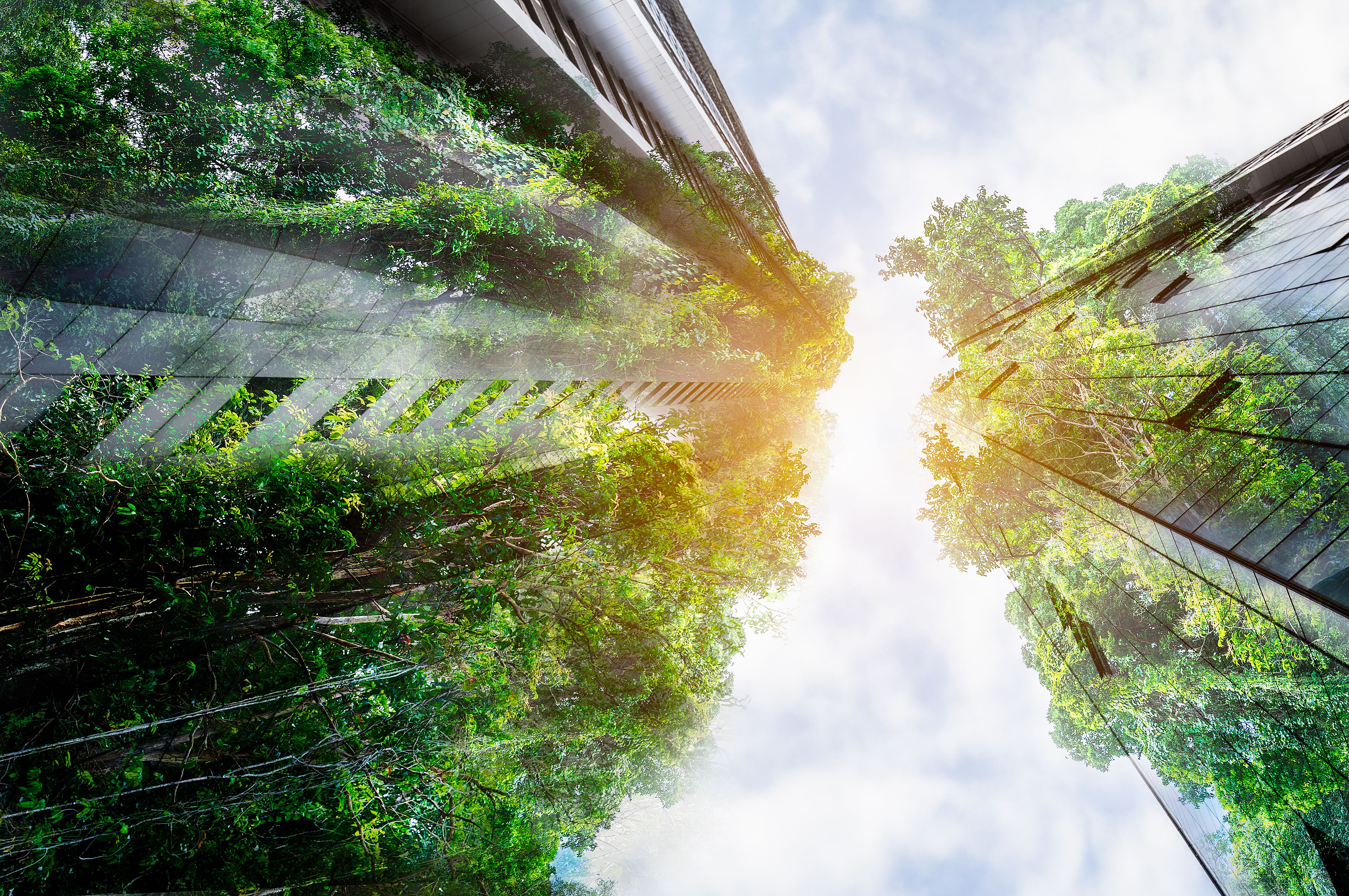 sustainable building