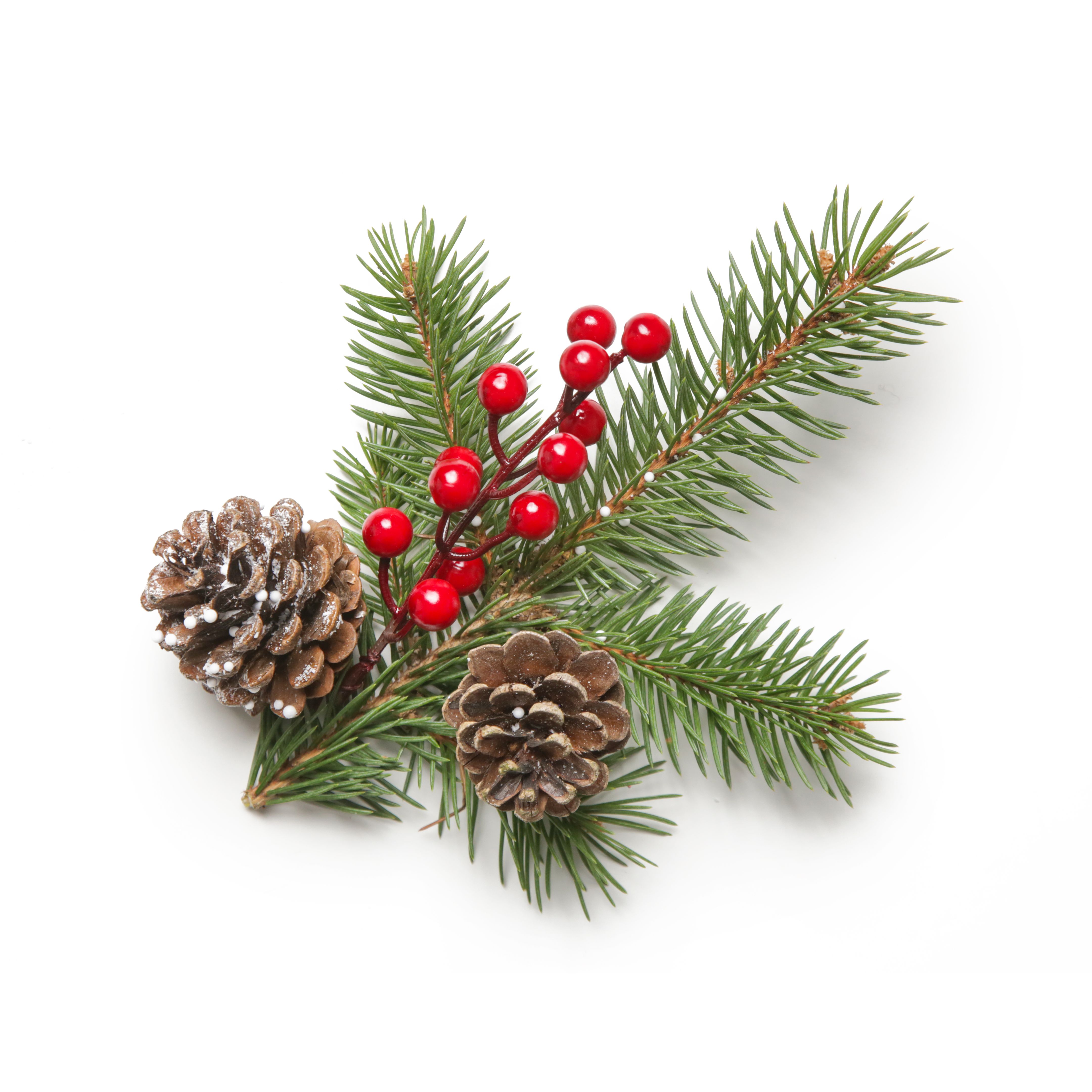 holly pine decor