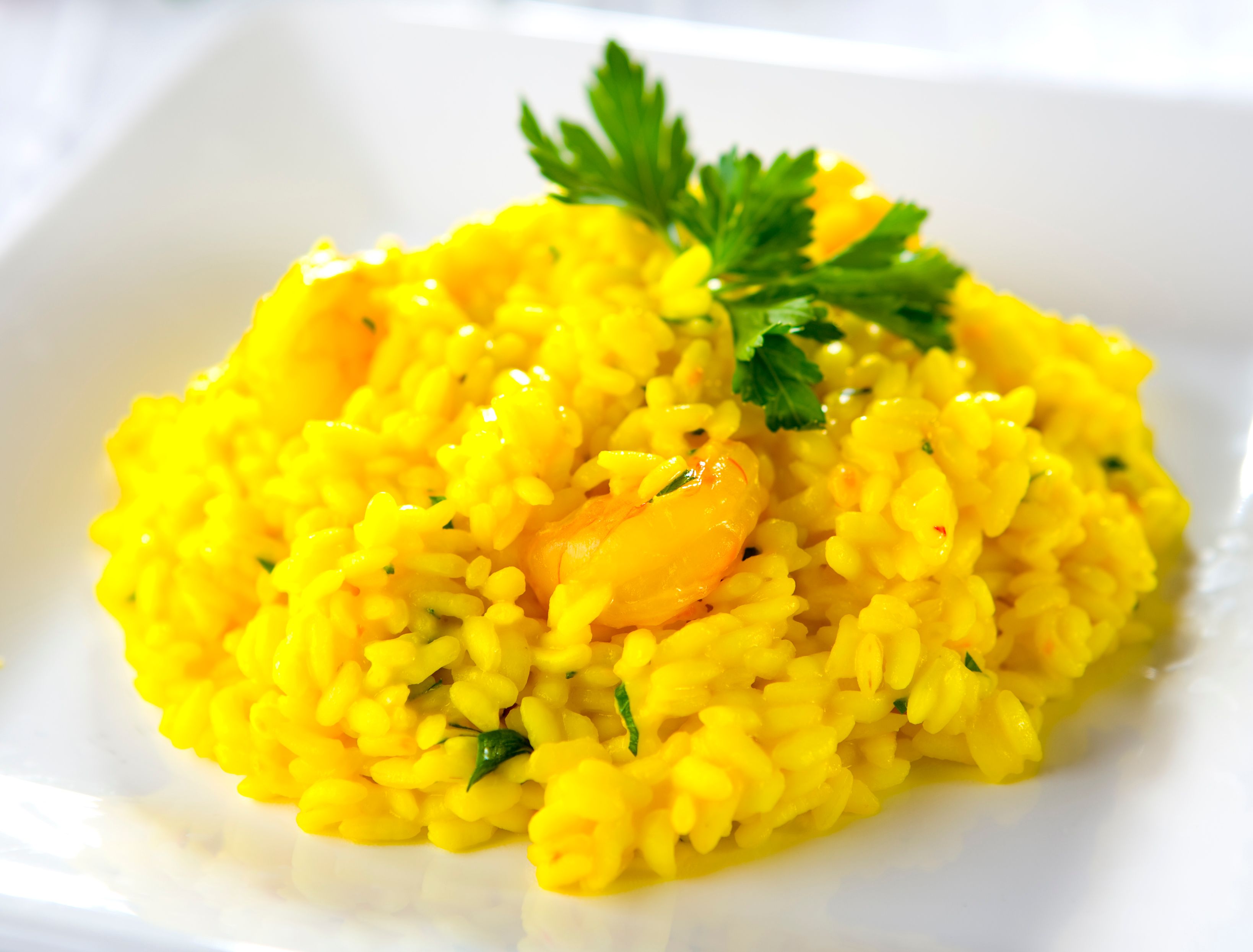 saffron risotto