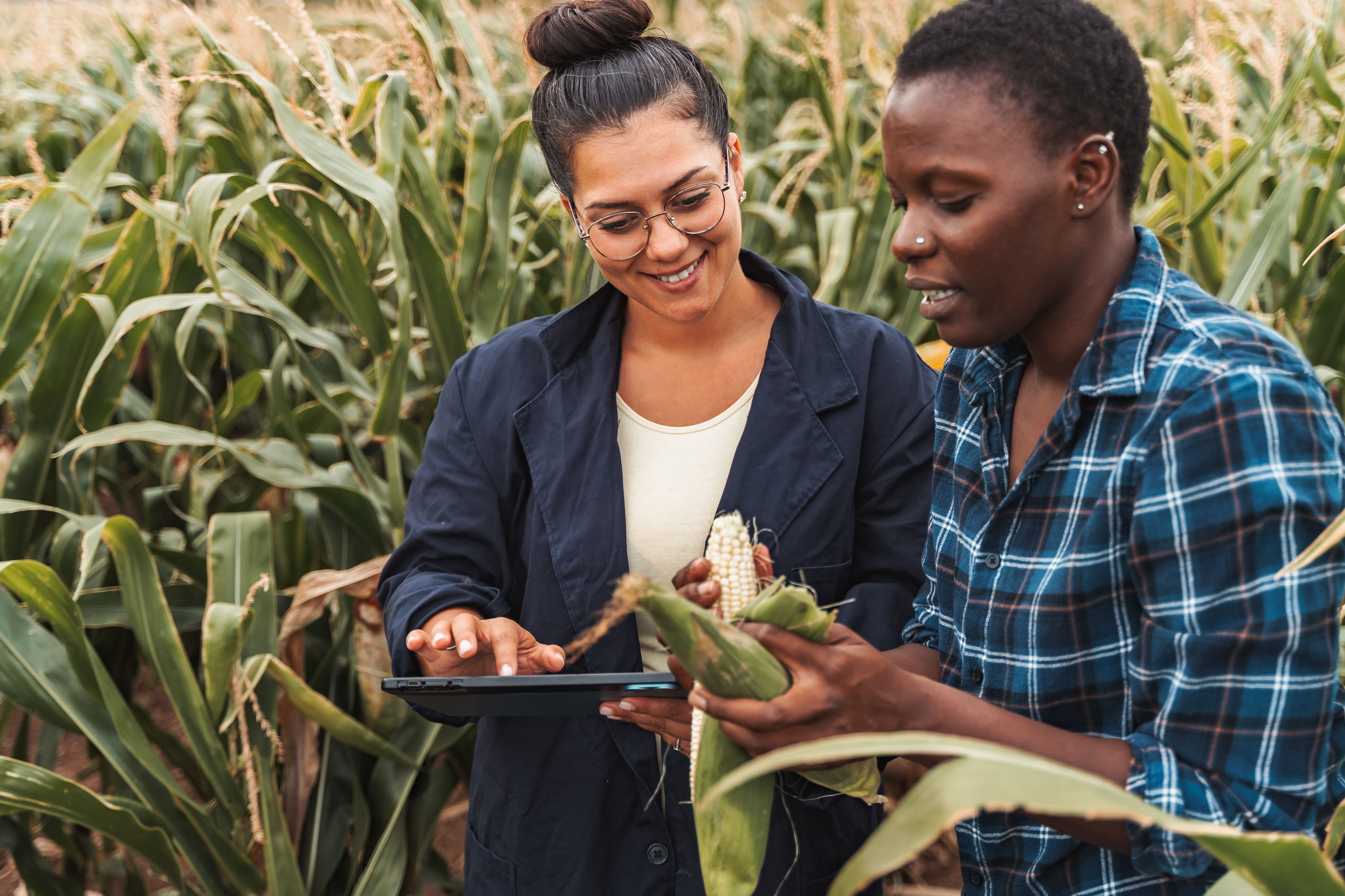 quality control vegetables