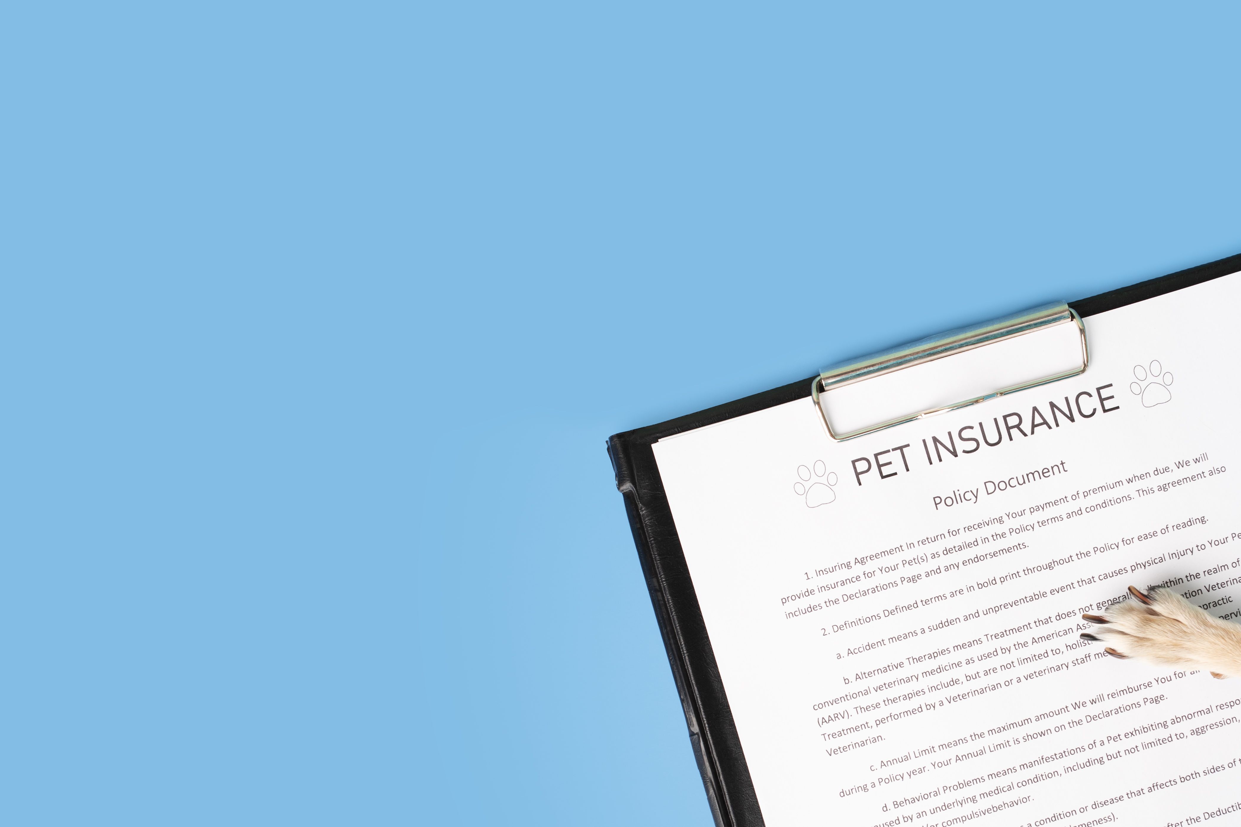 pet insurance policy