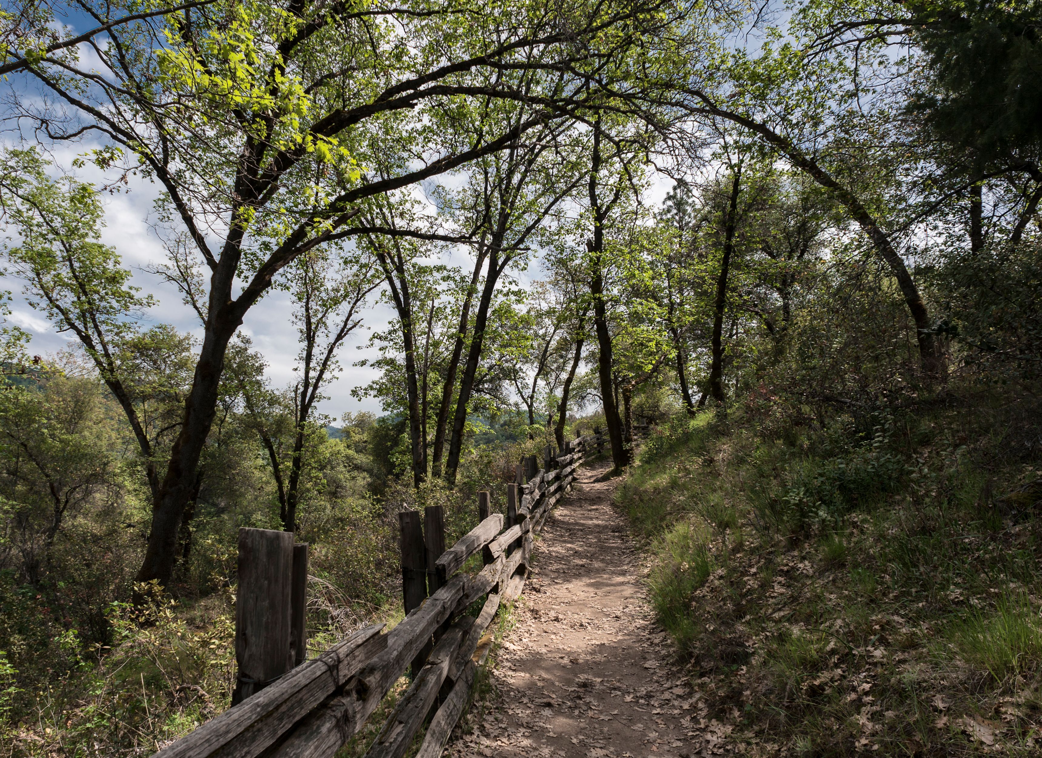 sierra nevada foothills