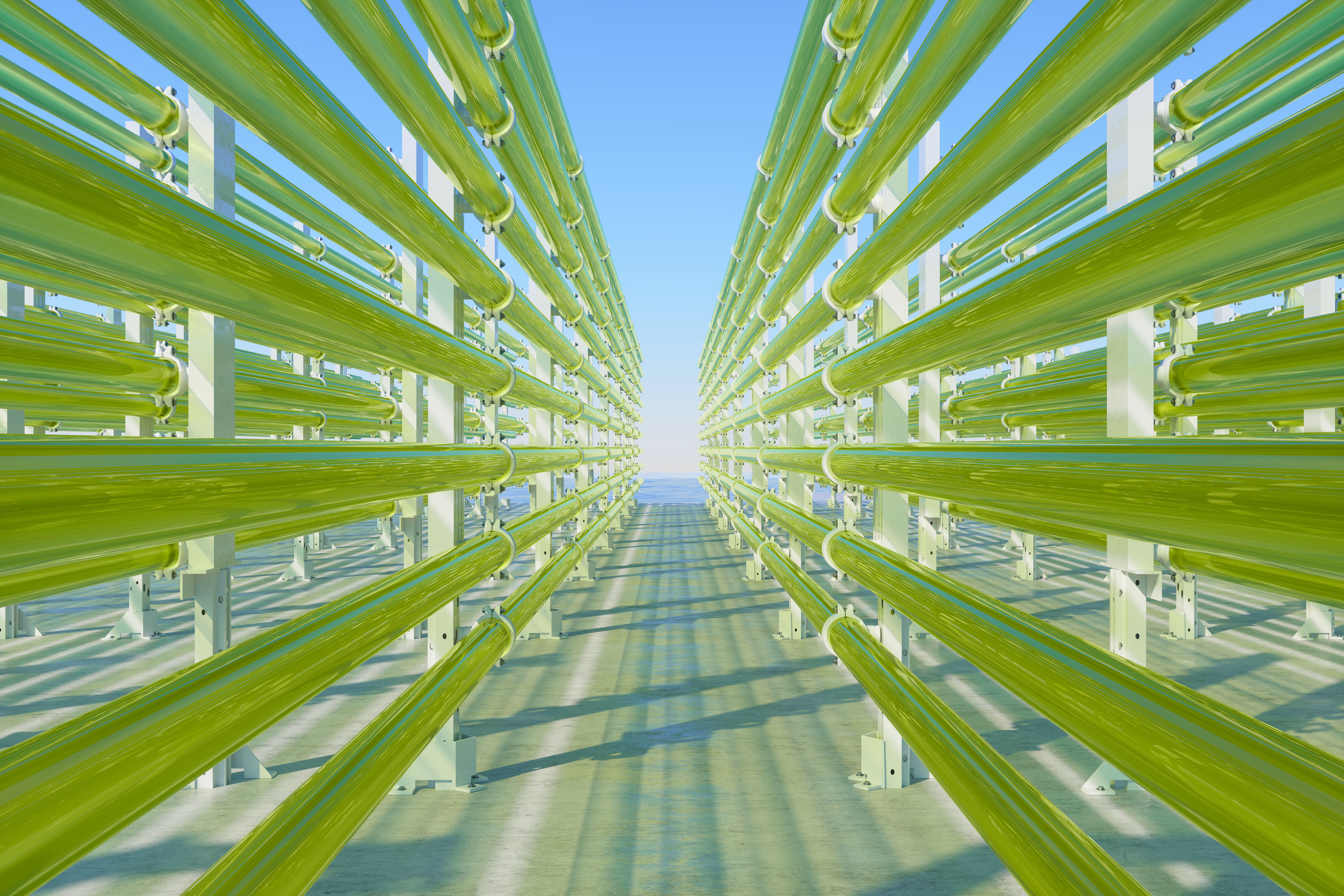 Tubular Algae Bioreactors Fixing CO2 To Produce Biofuel As An Alternative Fuel With Blue Sky Background