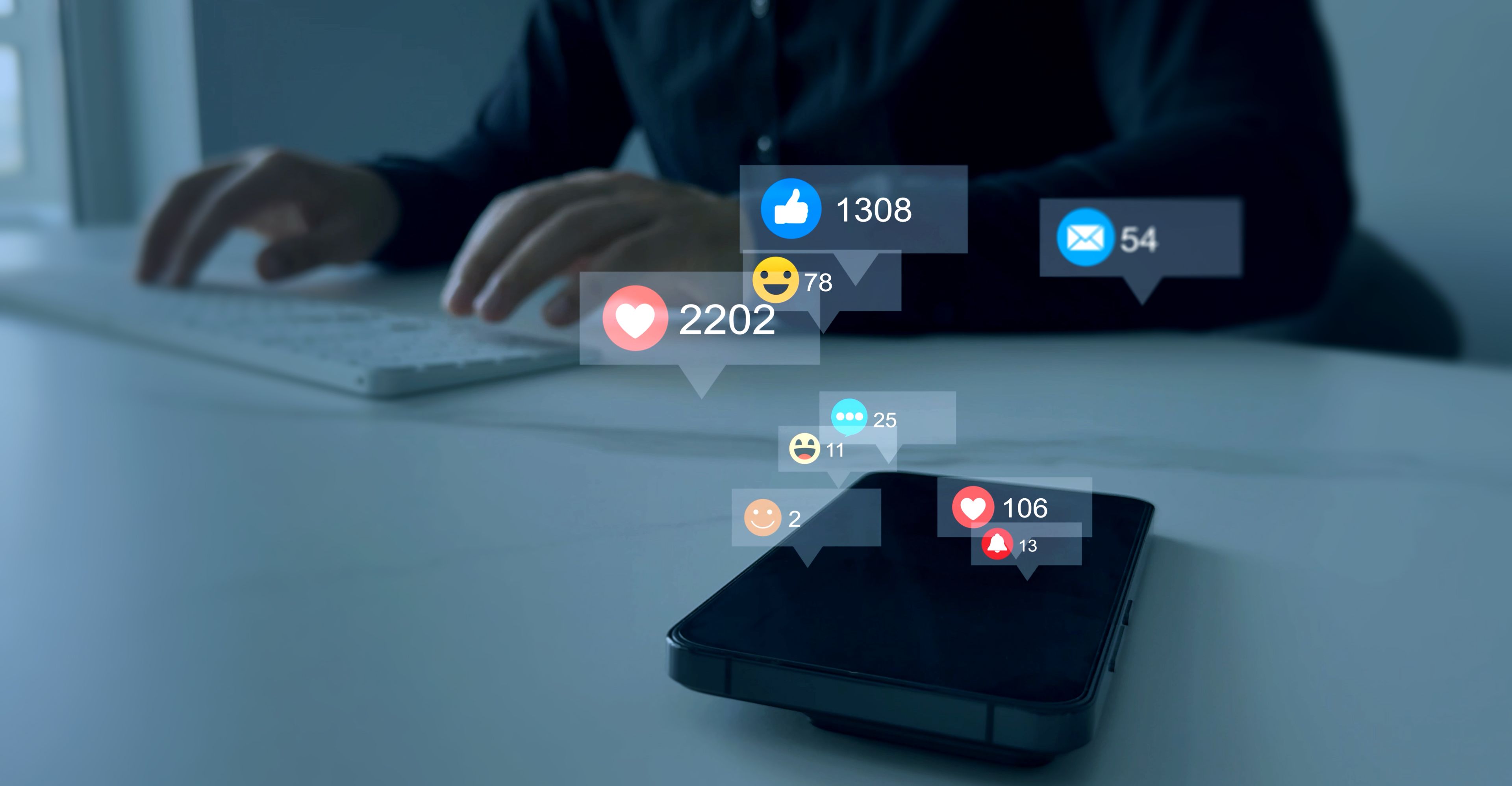 social media audience