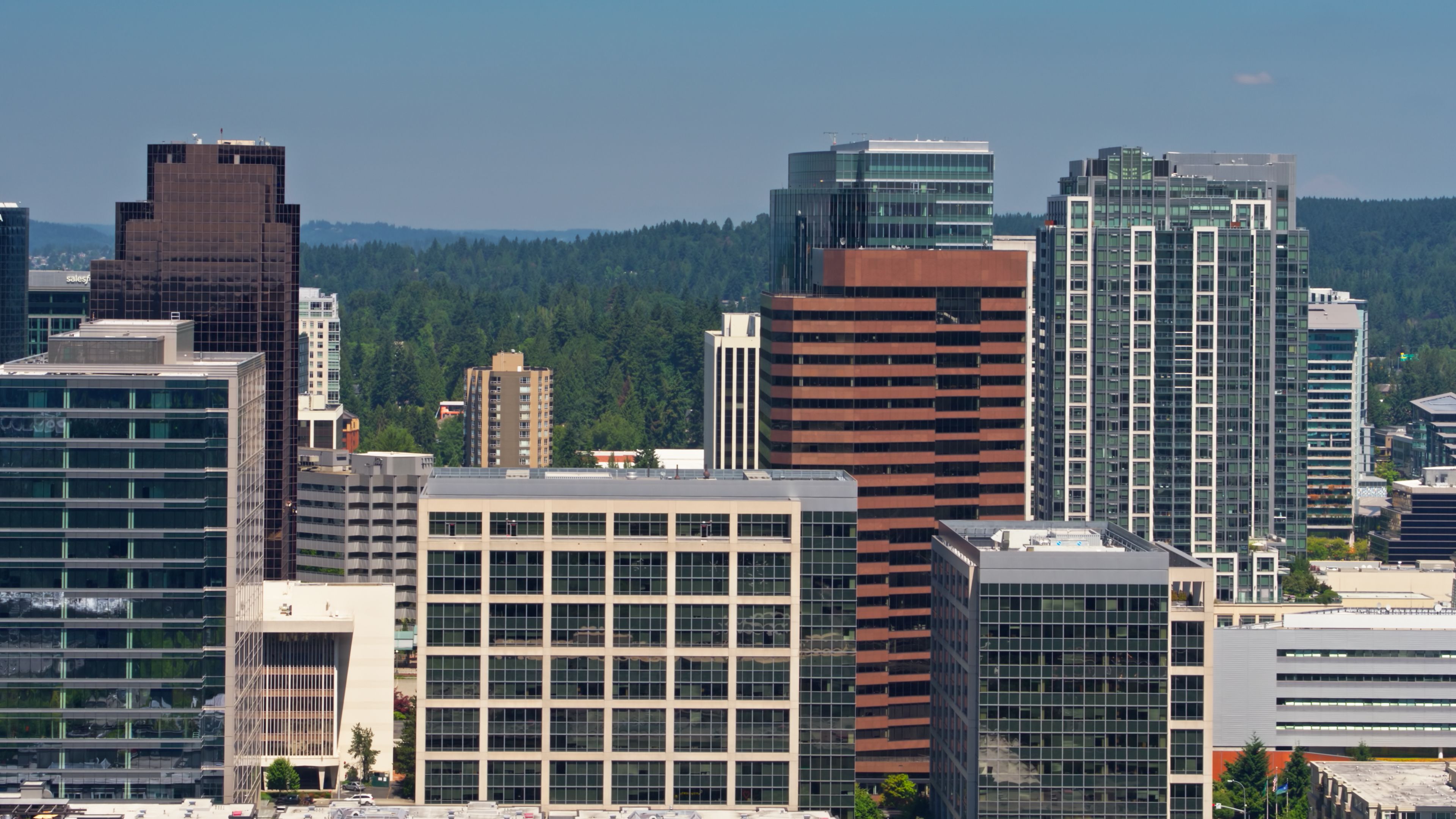 bellevue taxes