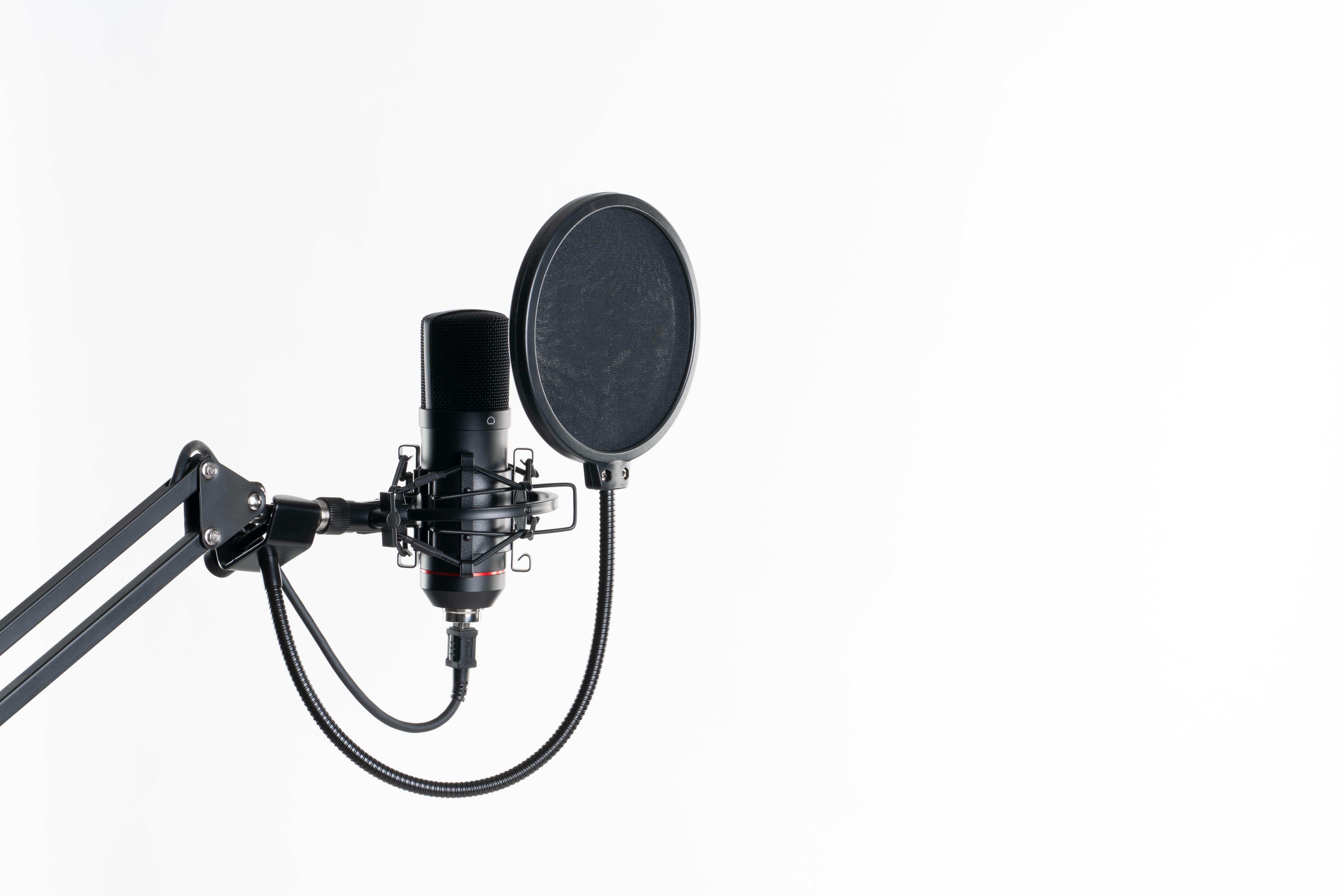 pop filter microphone