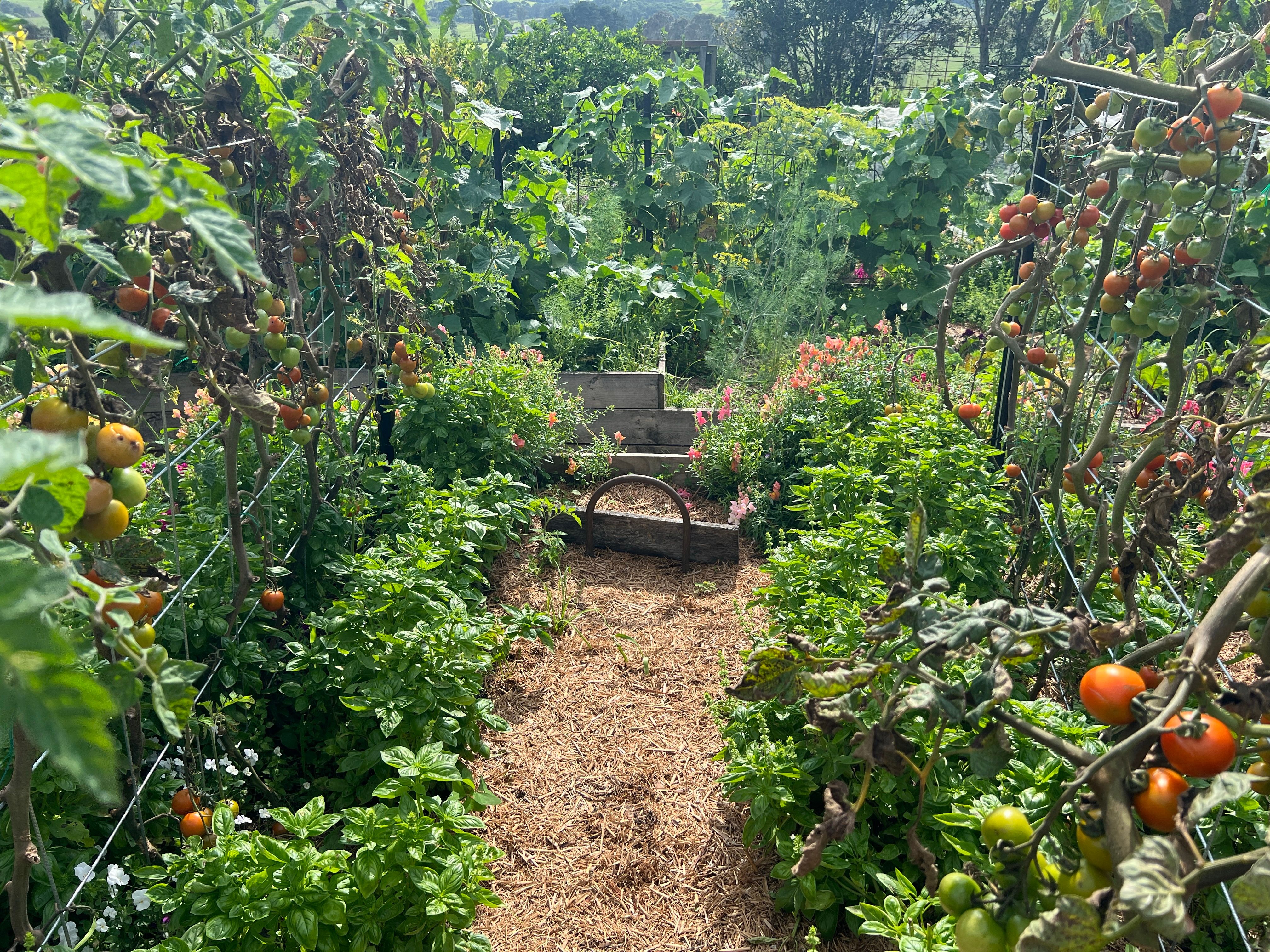 permaculture farm