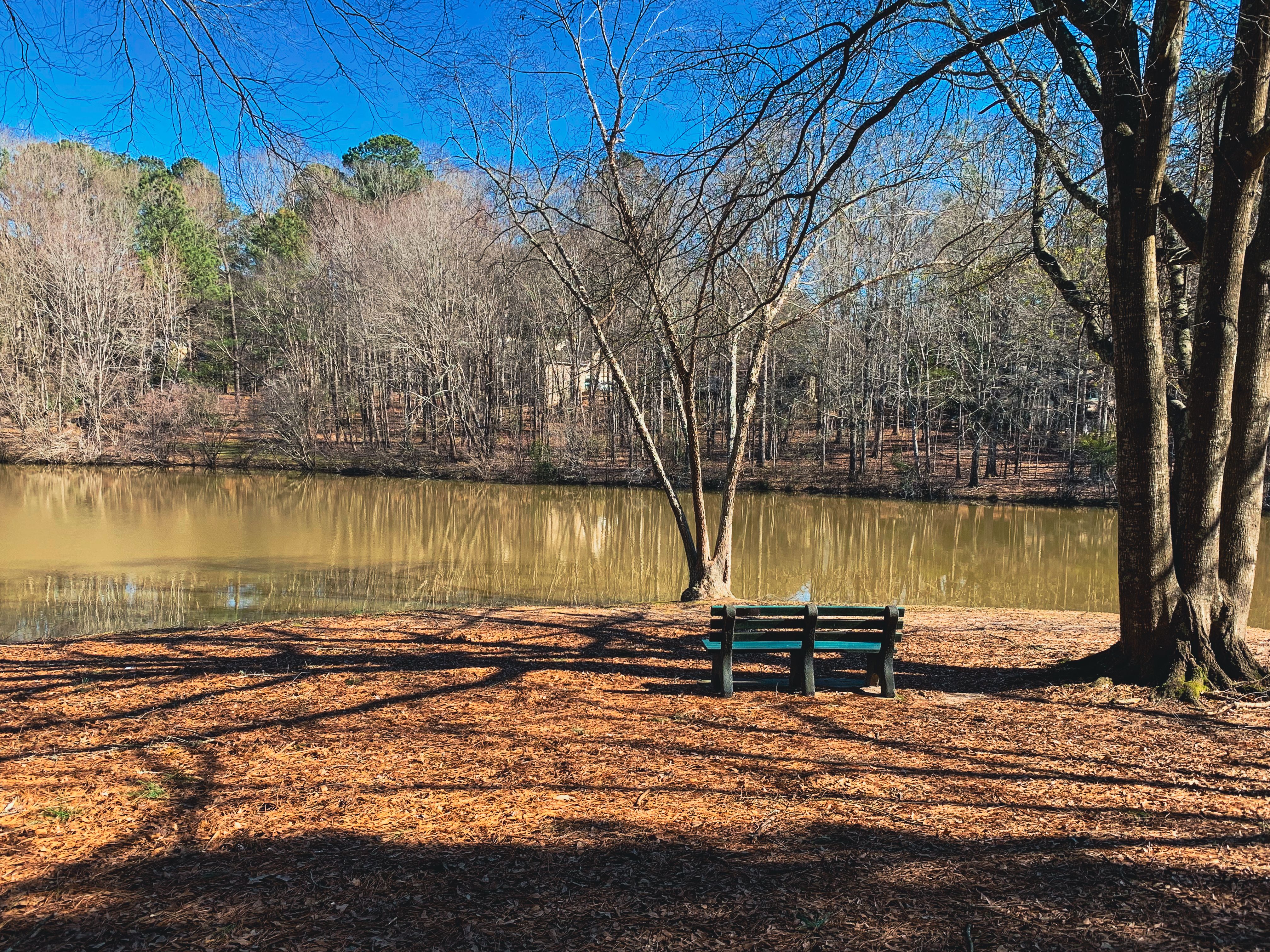 peachtree city lake