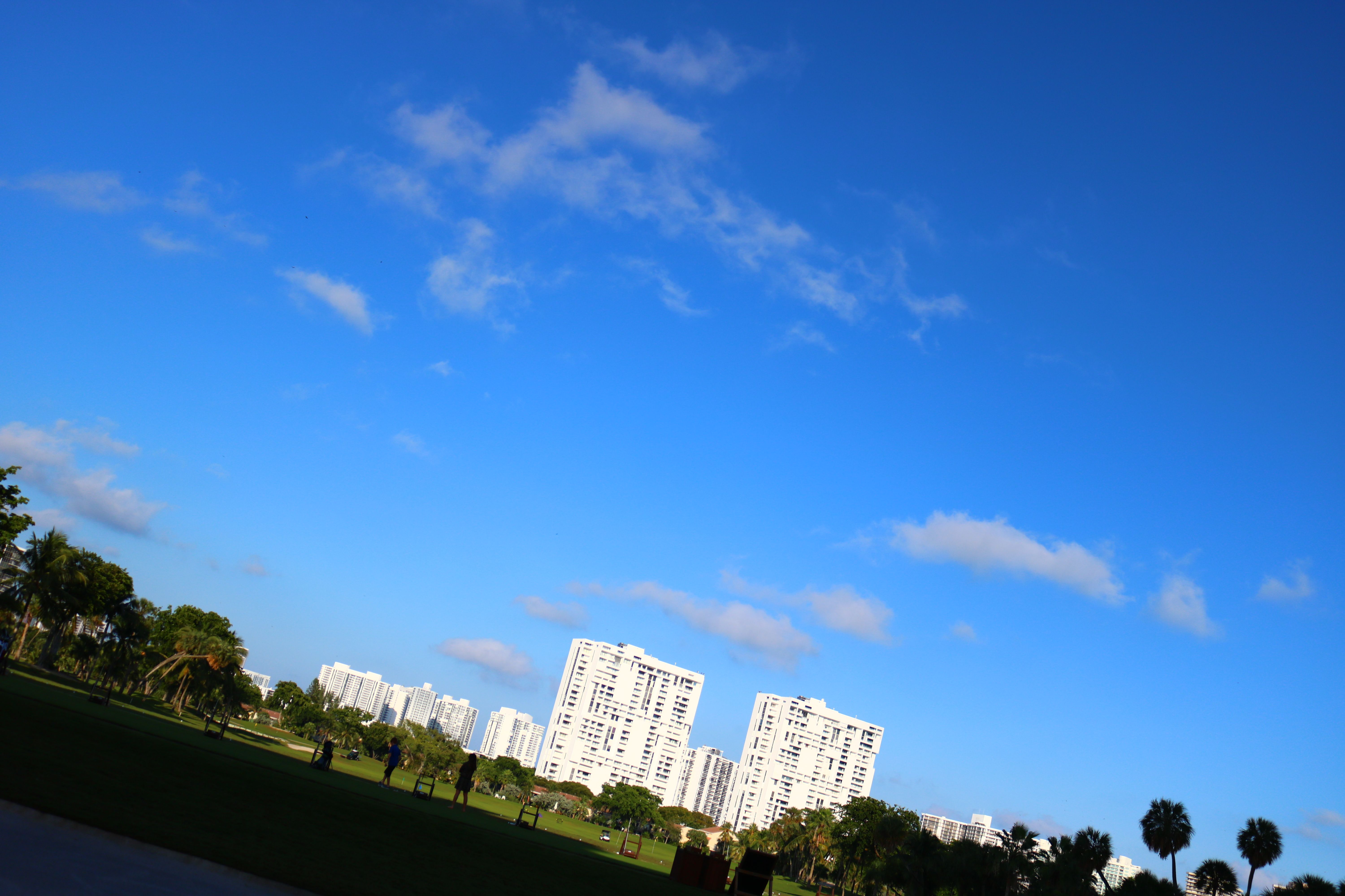 aventura cityscape
