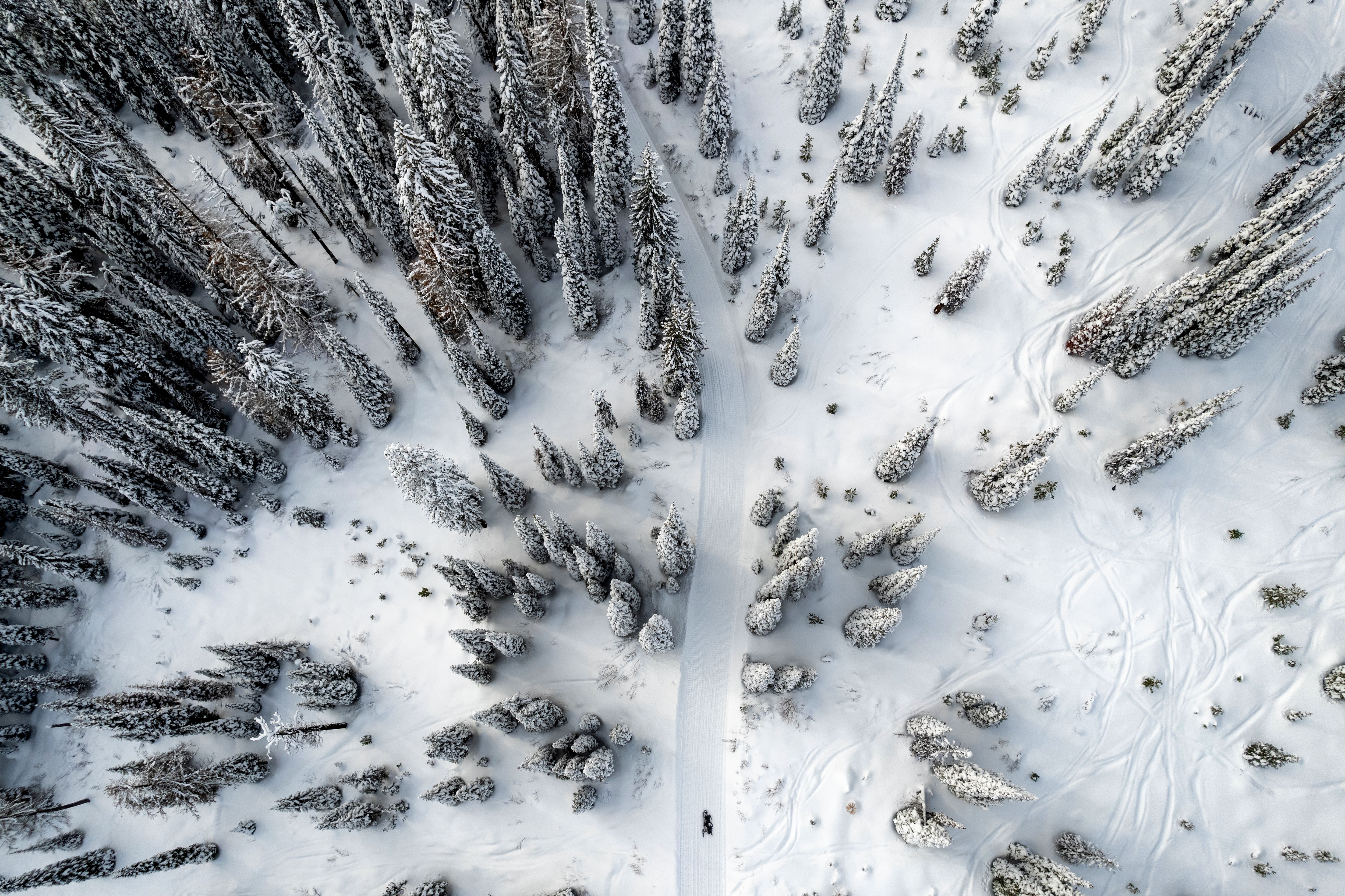 drone winter