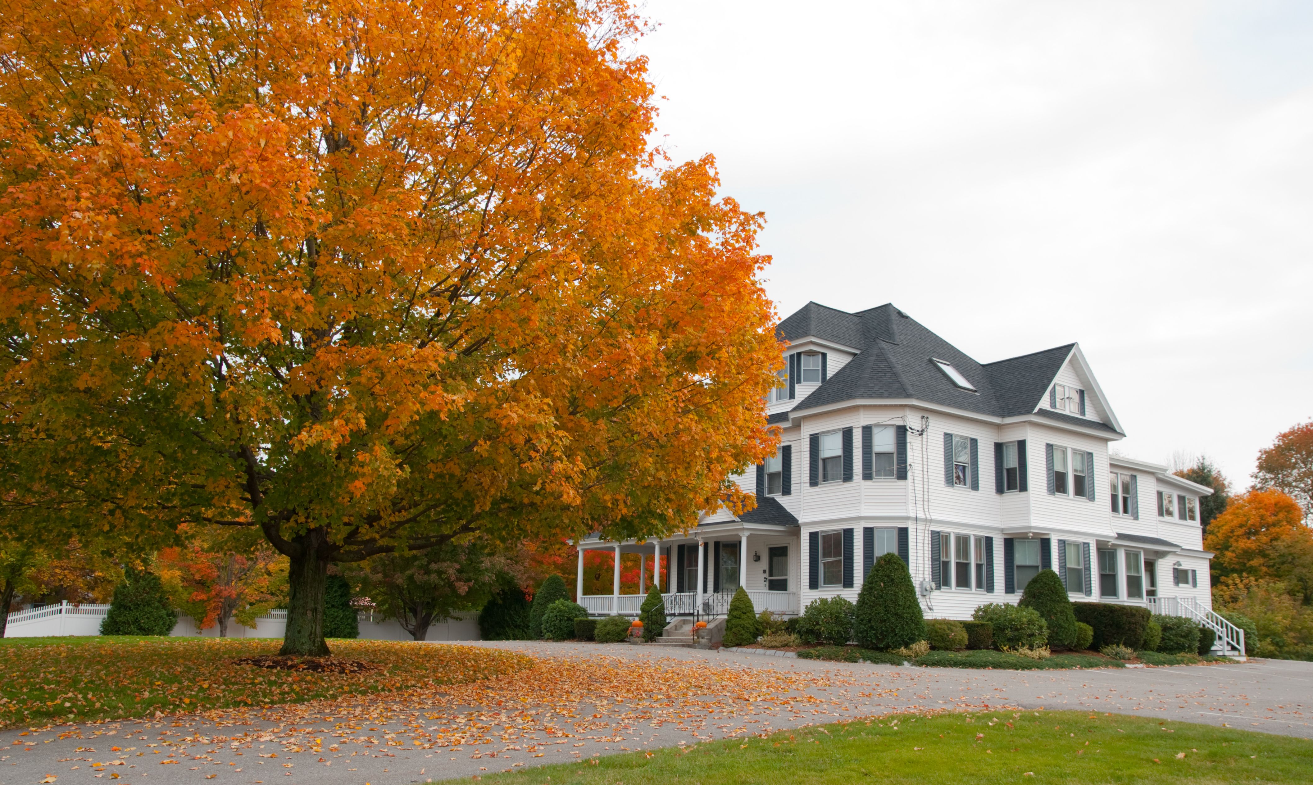 fall house landscape