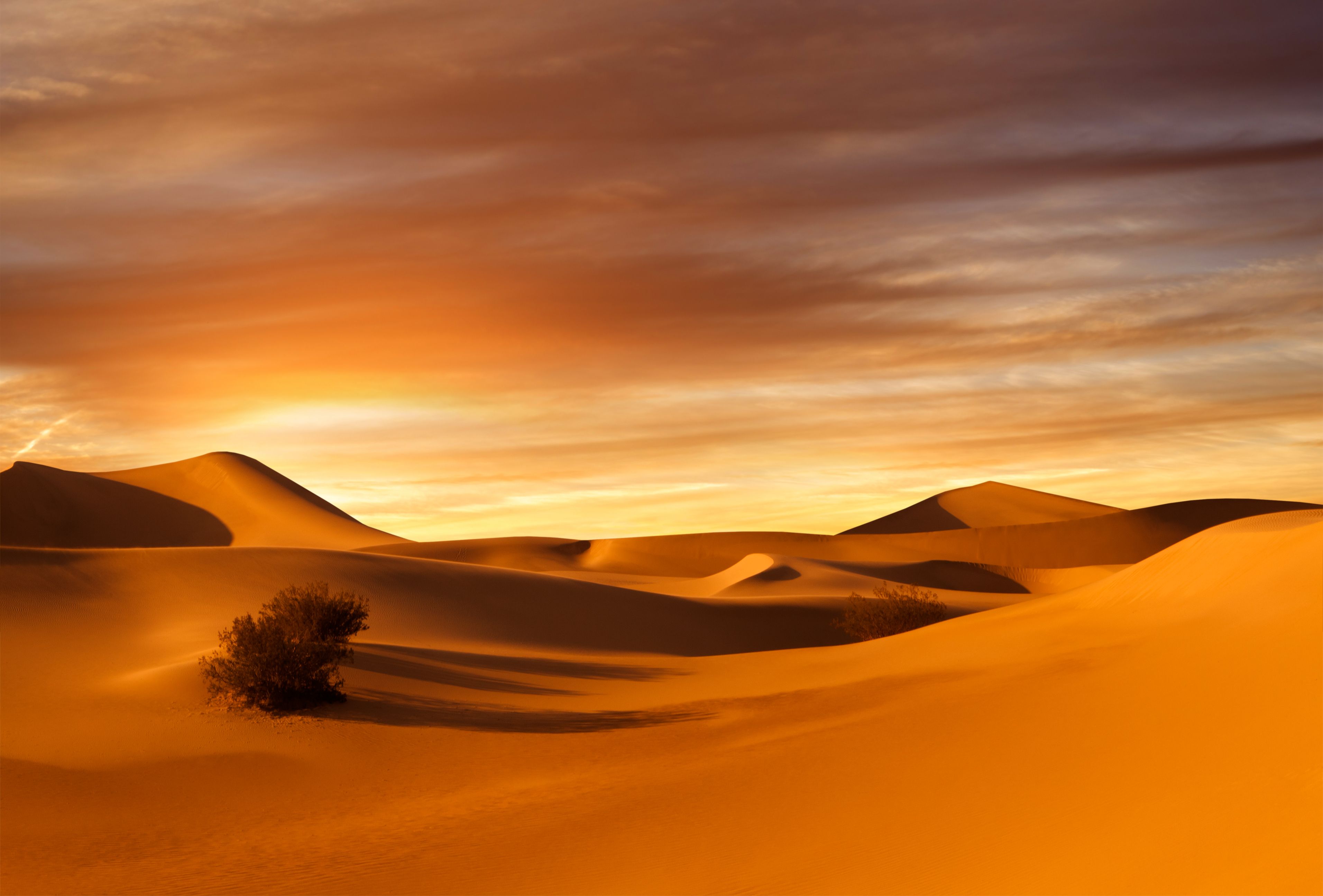 sunset dunes
