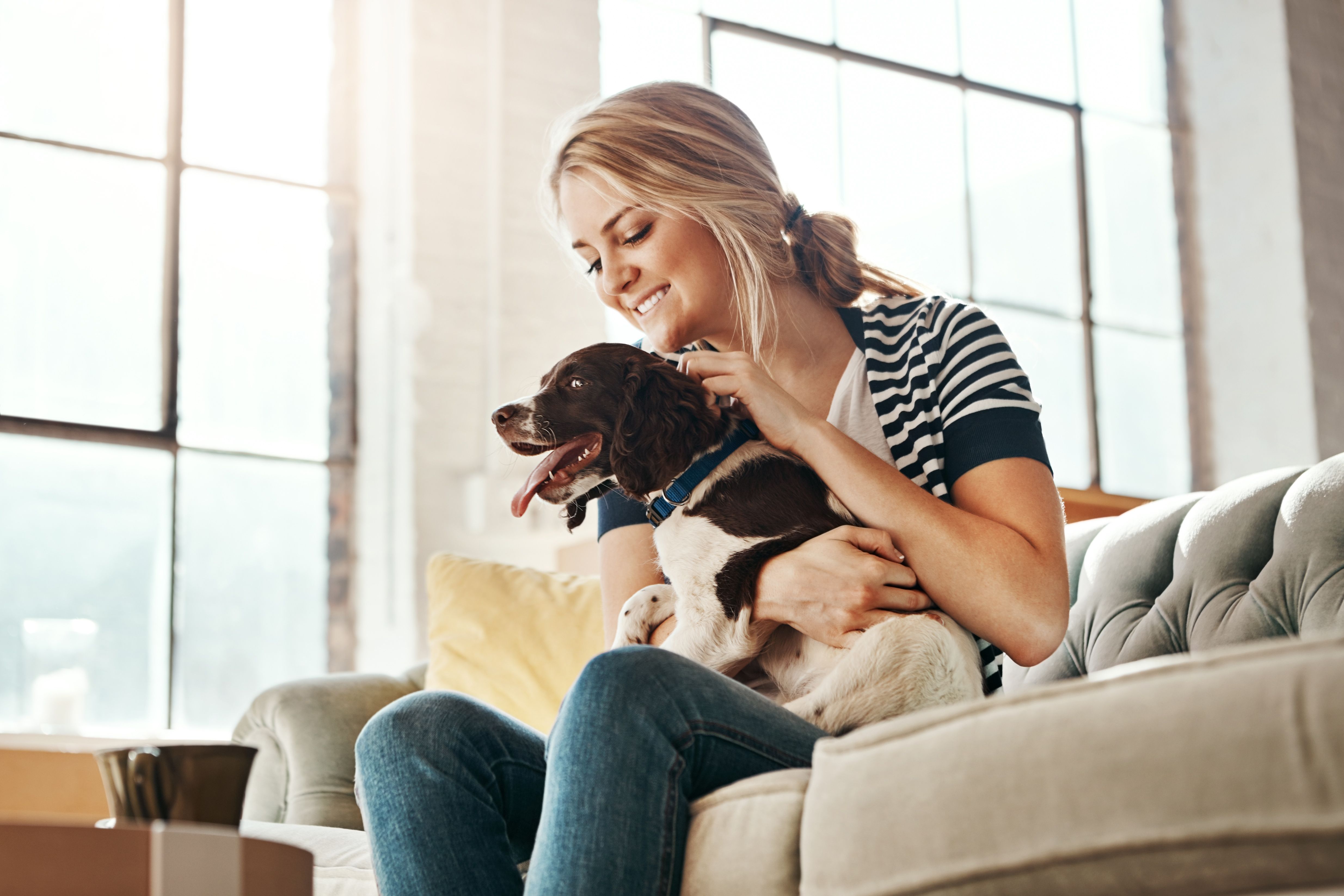 happy dog owner