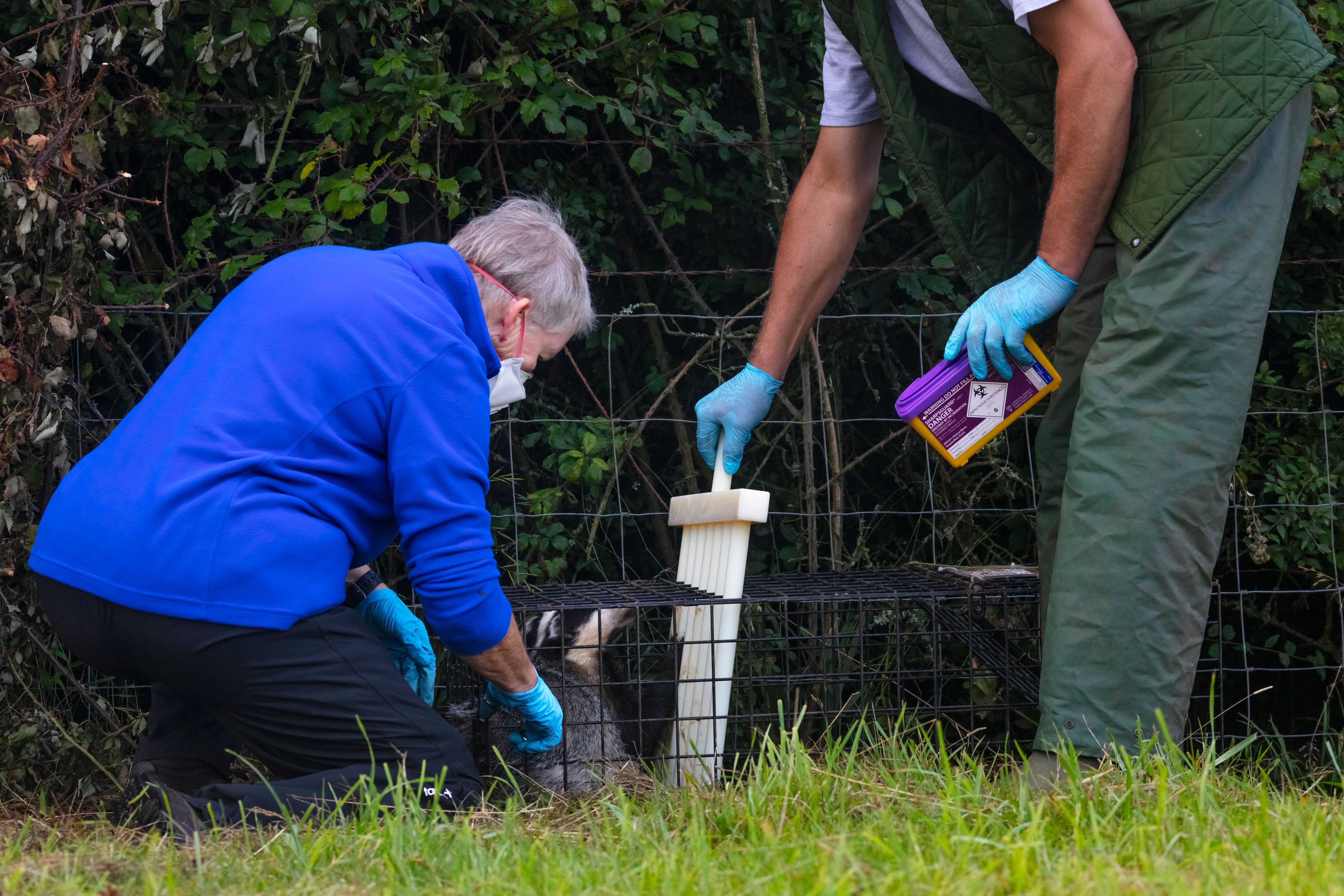 animal removal professionals