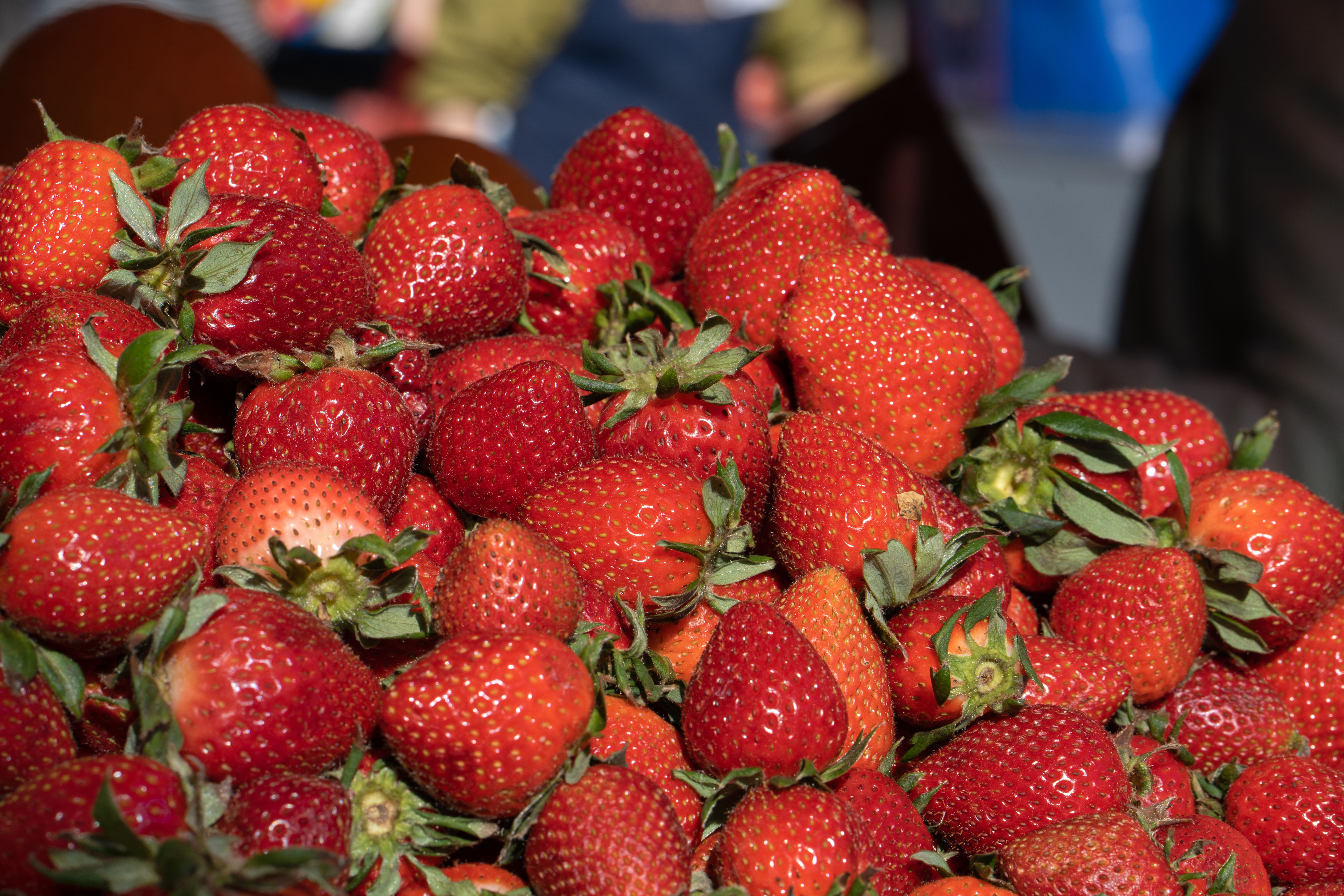 organic market
