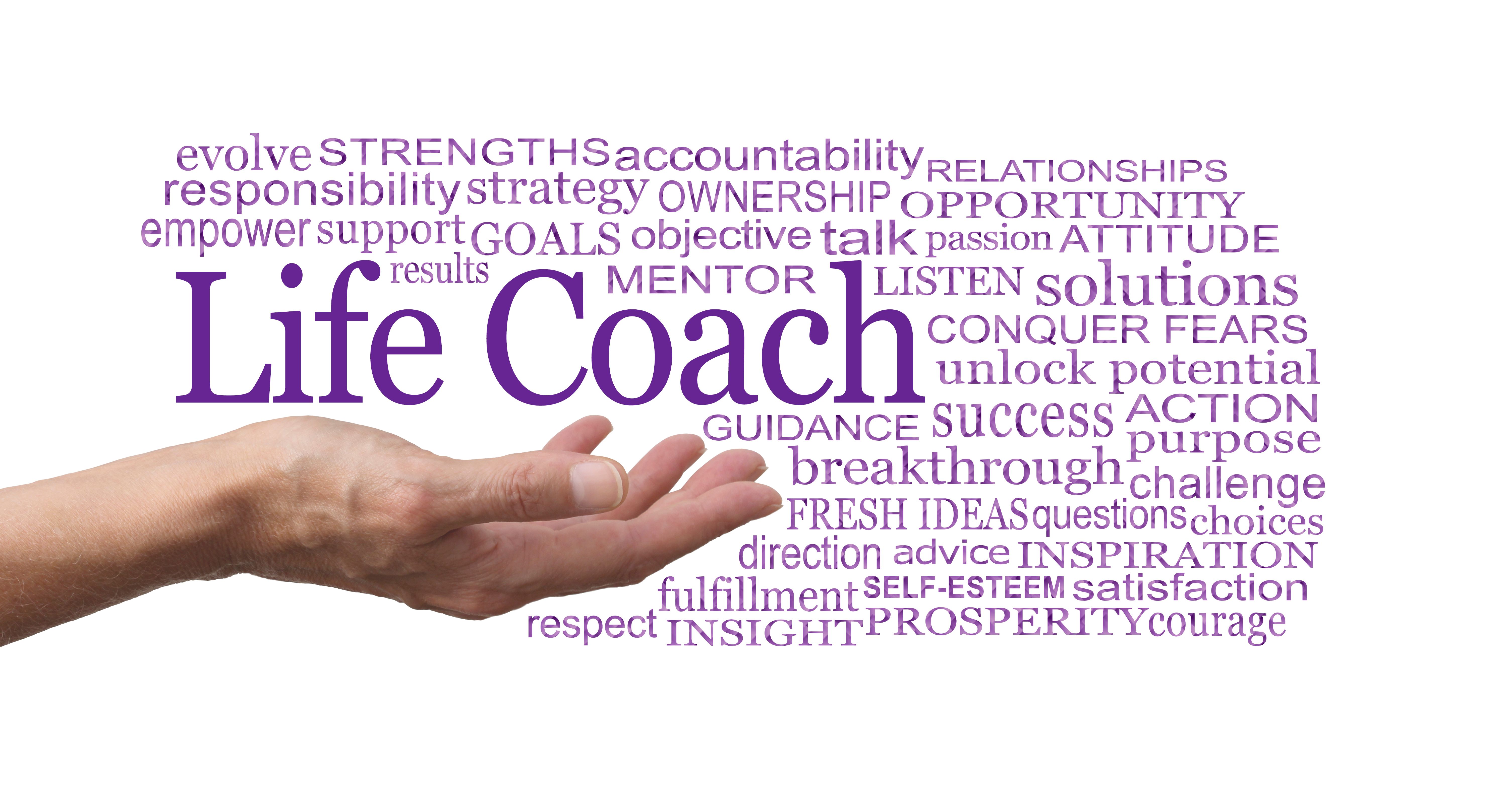 niche life coaching