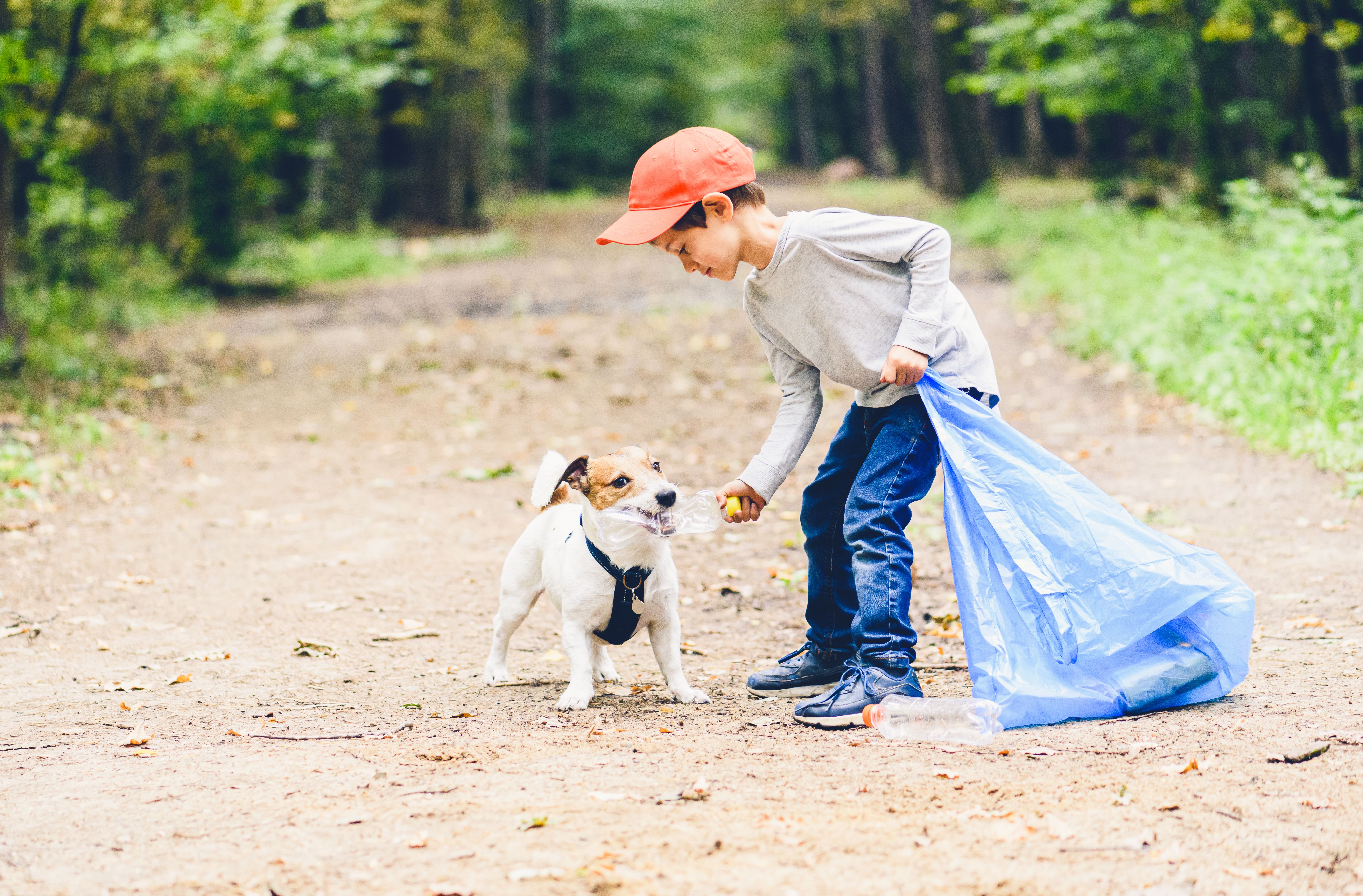 eco-friendly pets