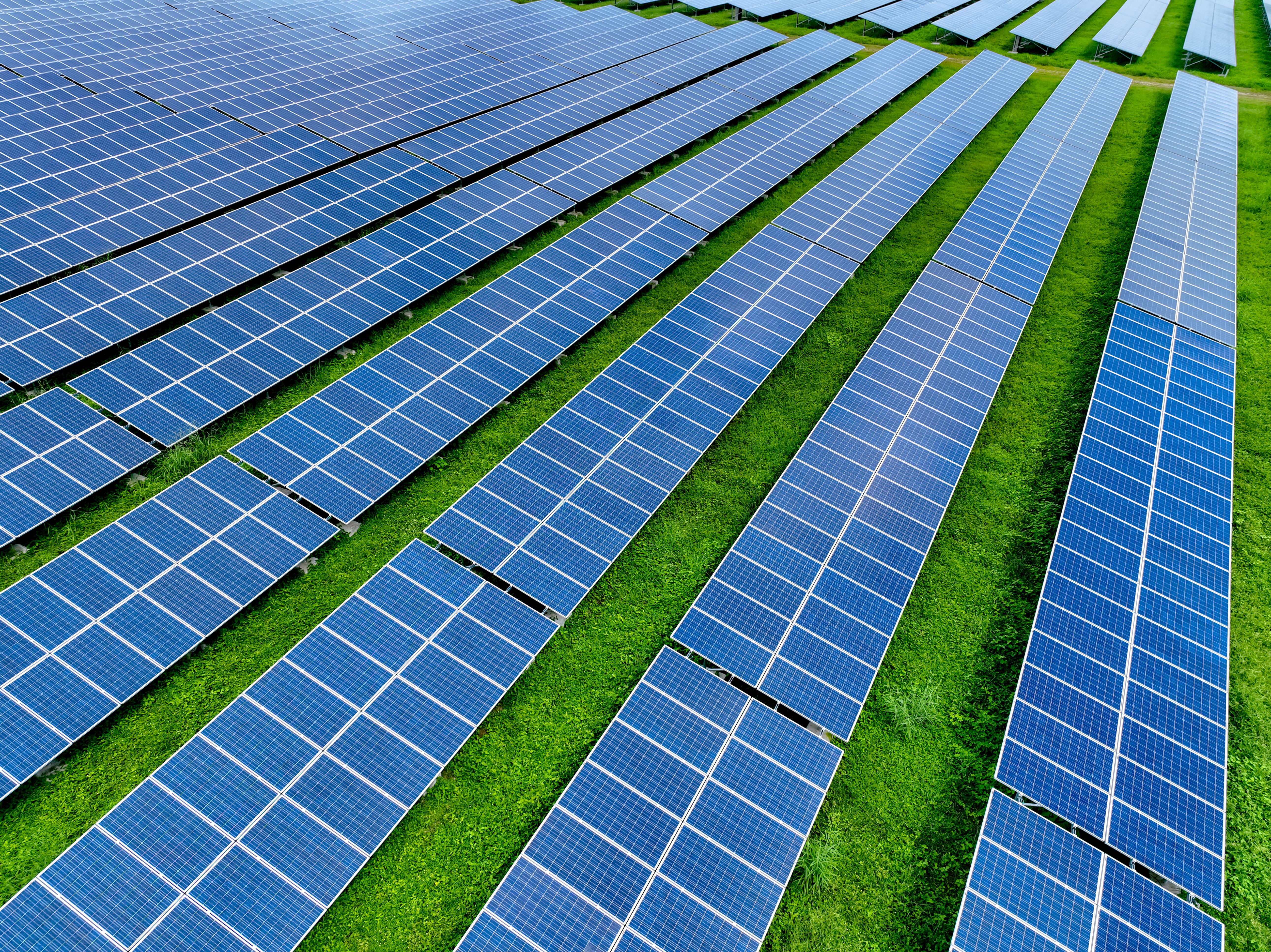 Solar Farm And Sun Light. Solar Power For Green Energy. Sustainable Renewable Energy. Photovoltaic