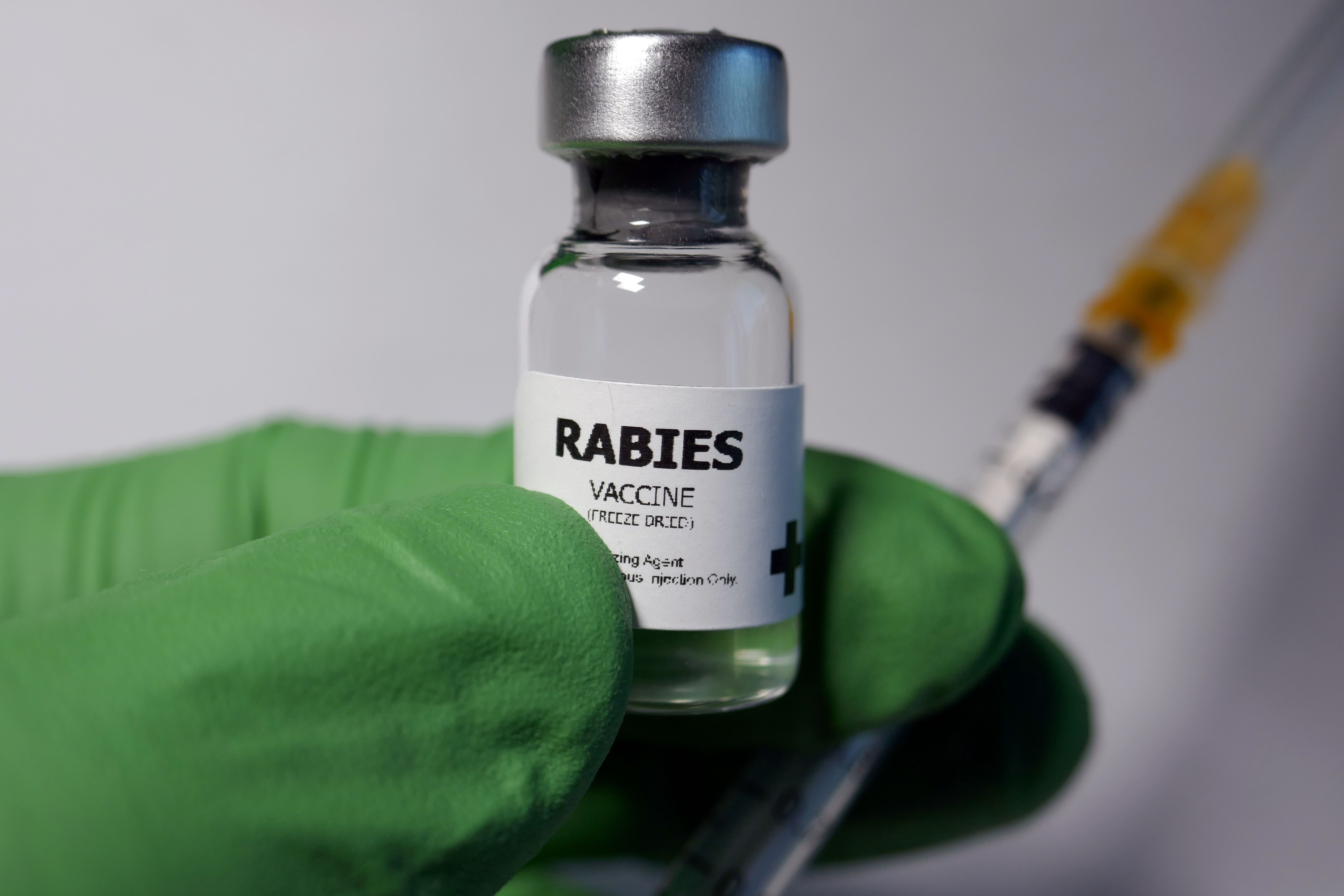 rabies vaccination