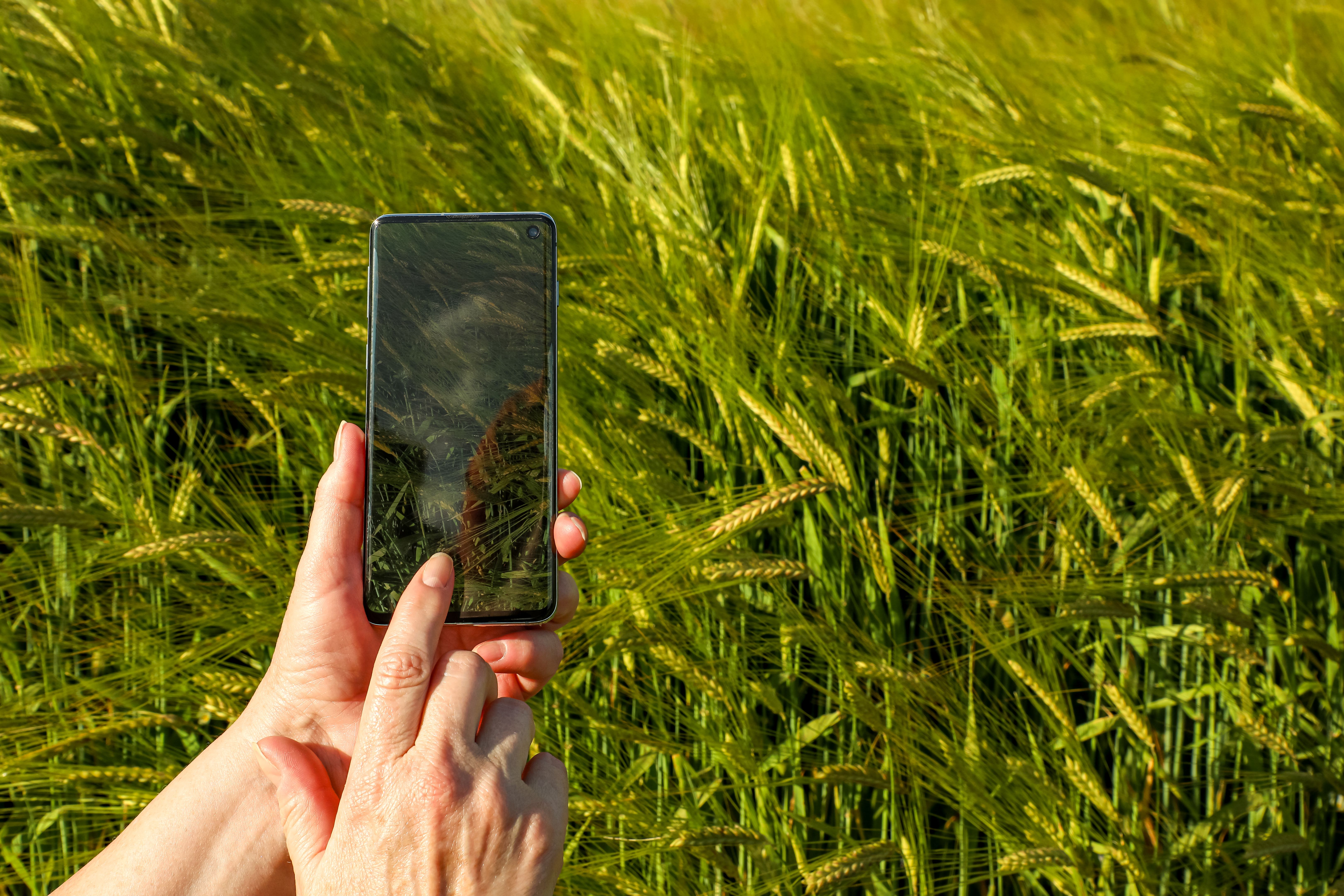 farmer monitoring