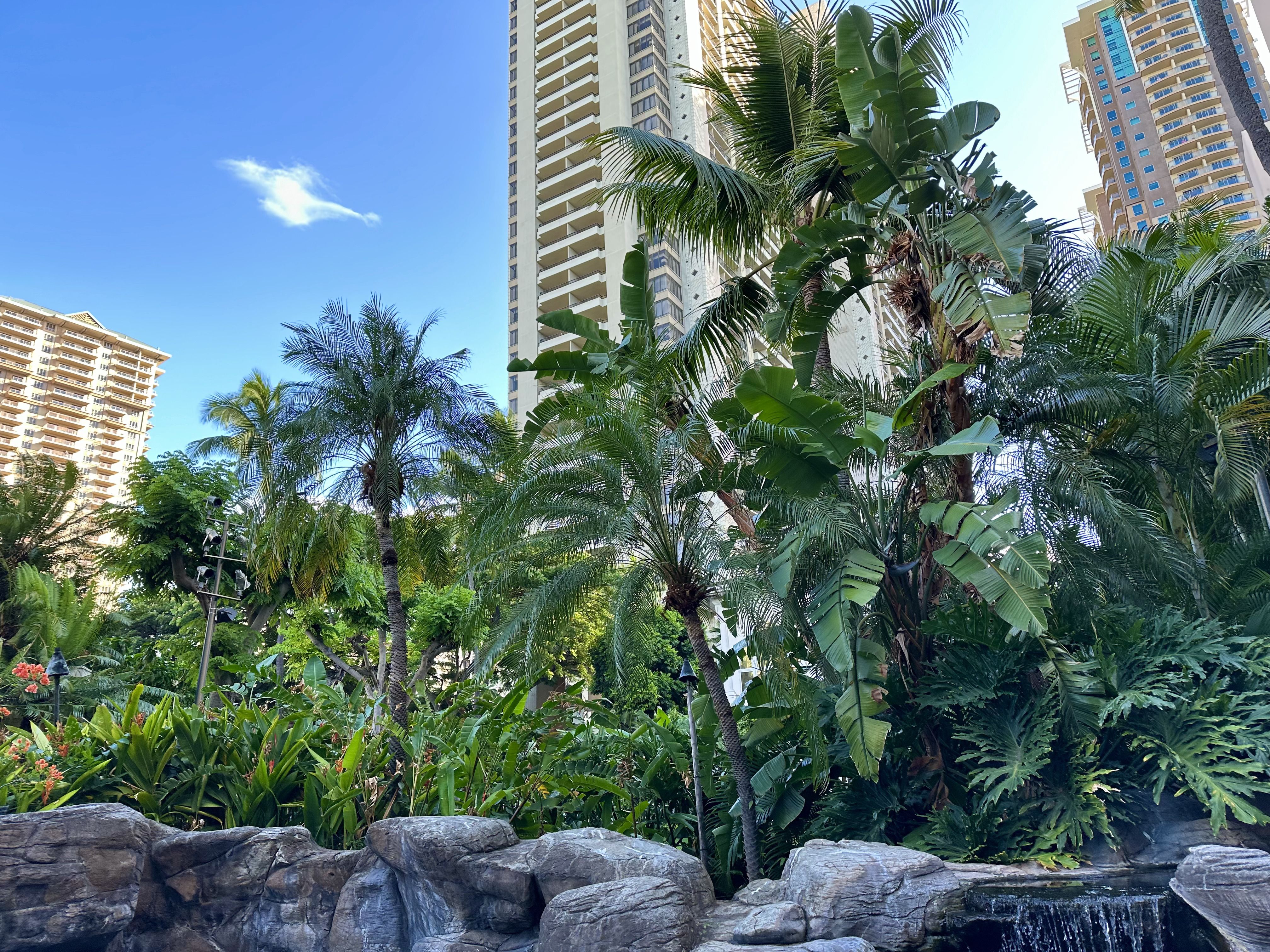 tropical city
