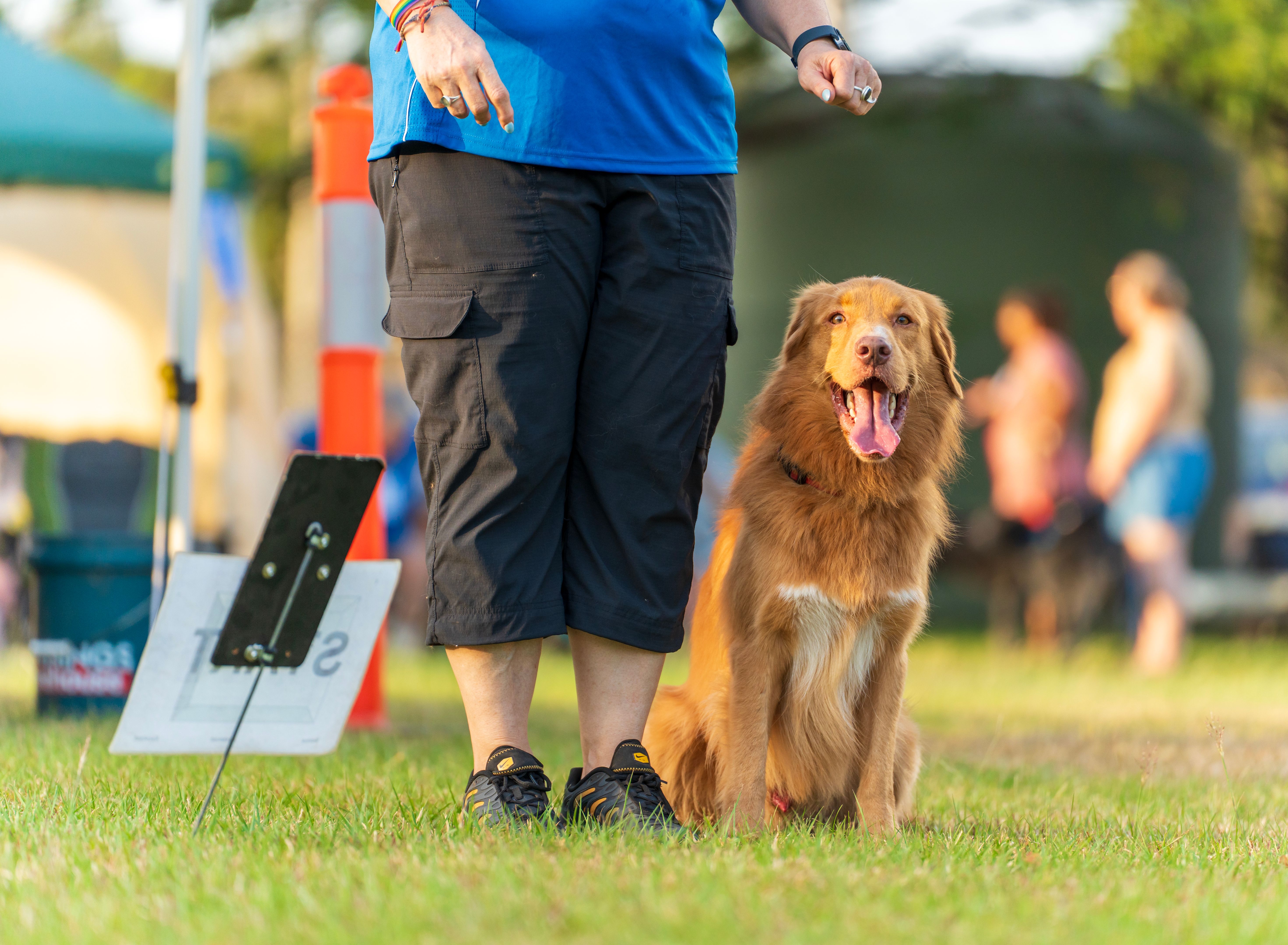 Dog obedience competition at the Royal Darwin Show 2025