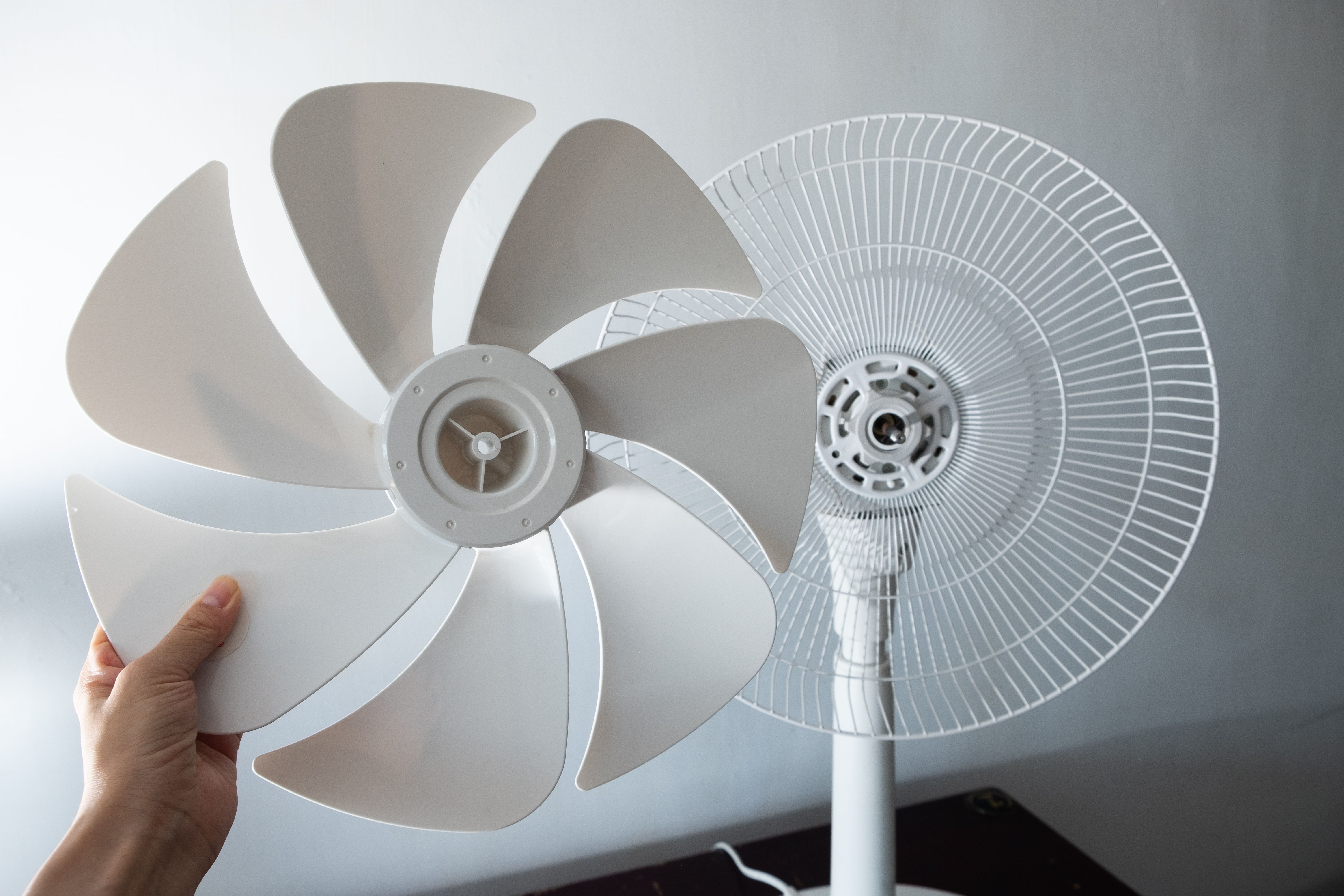 clean fan